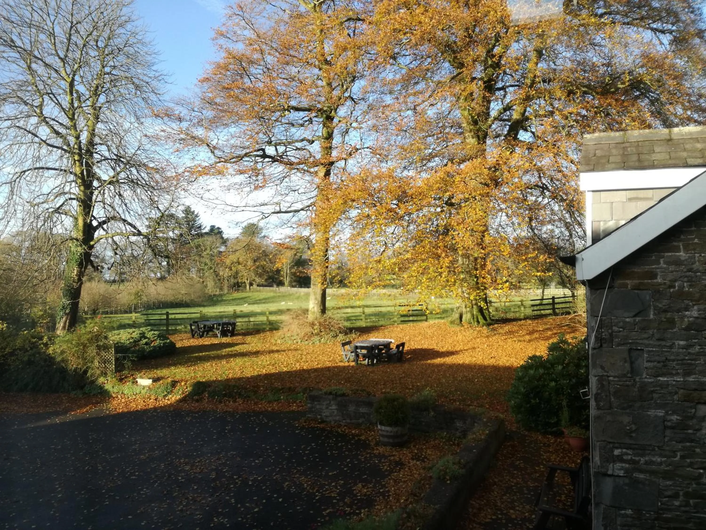 Natural landscape in Swansea Valley Holiday Cottages