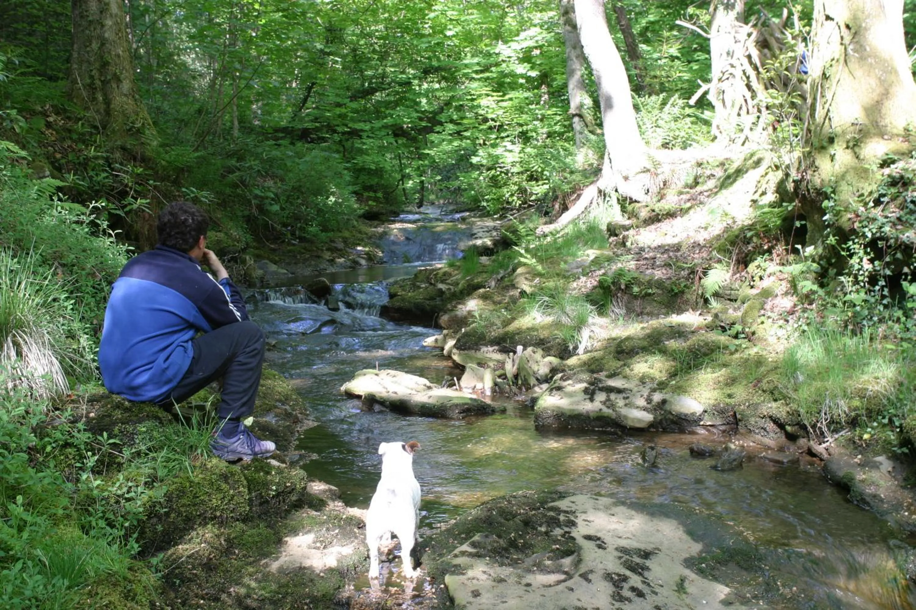 Area and facilities in Swansea Valley Holiday Cottages