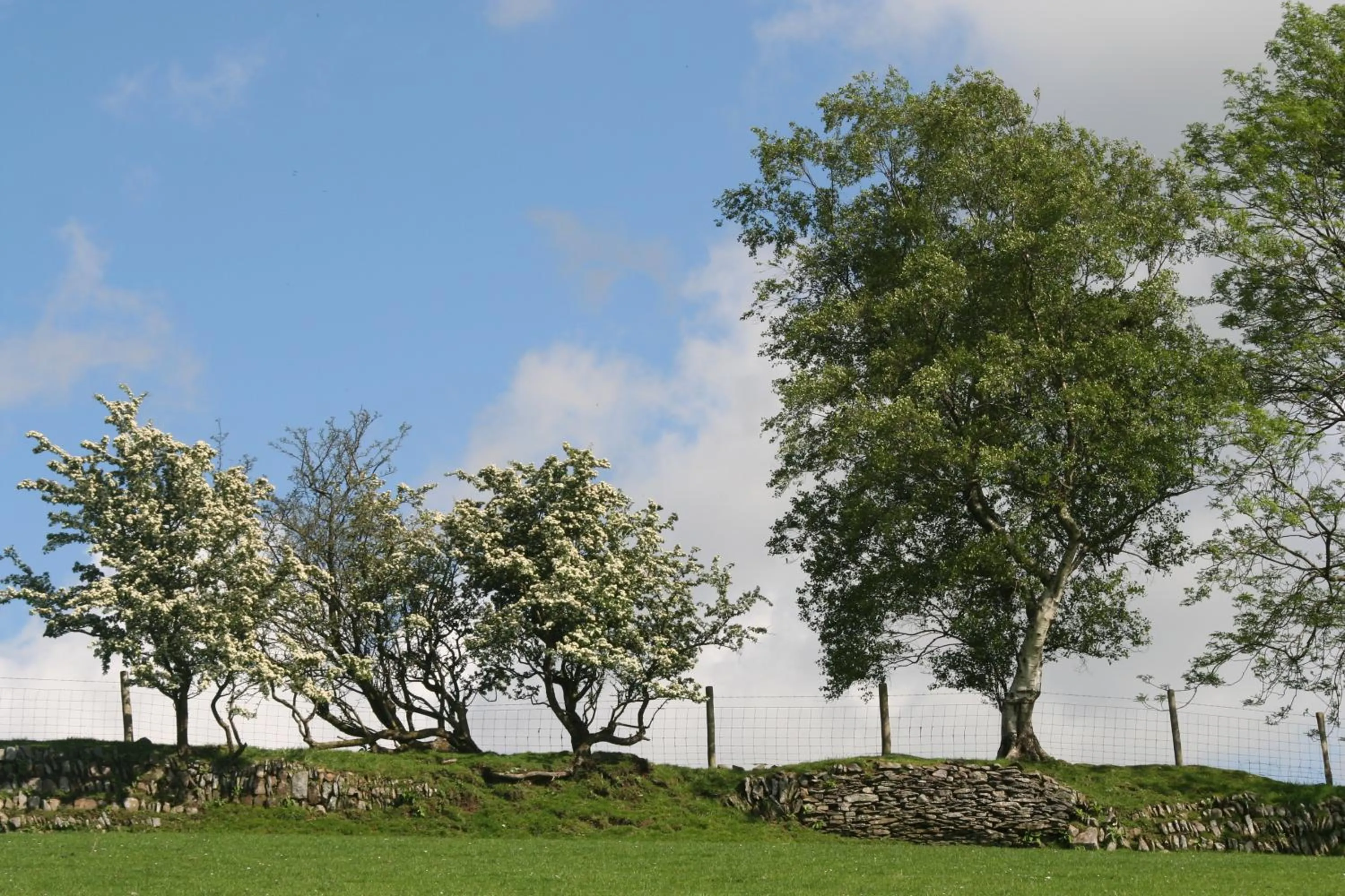 Natural landscape in Swansea Valley Holiday Cottages