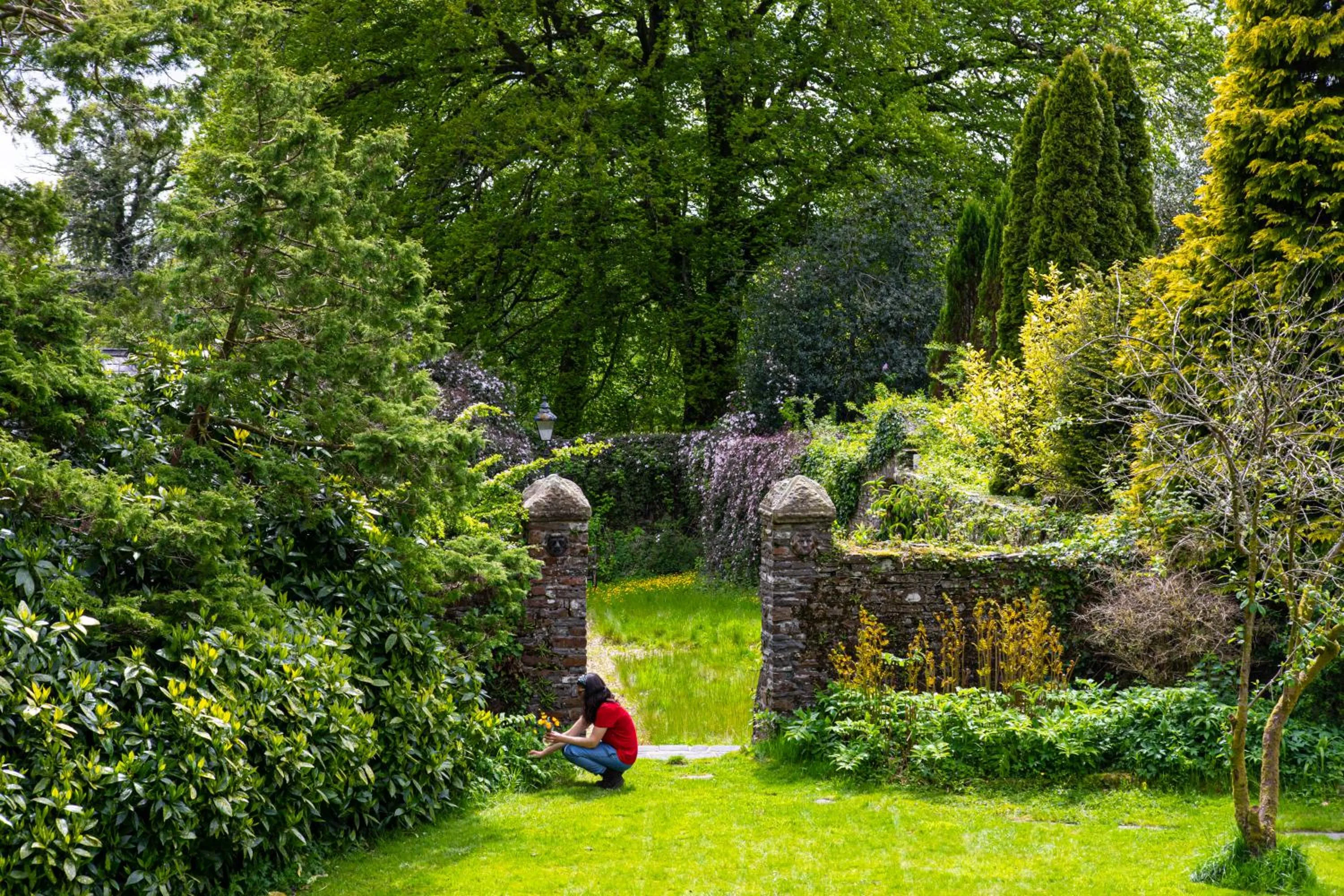 Garden view in Swansea Valley Holiday Cottages