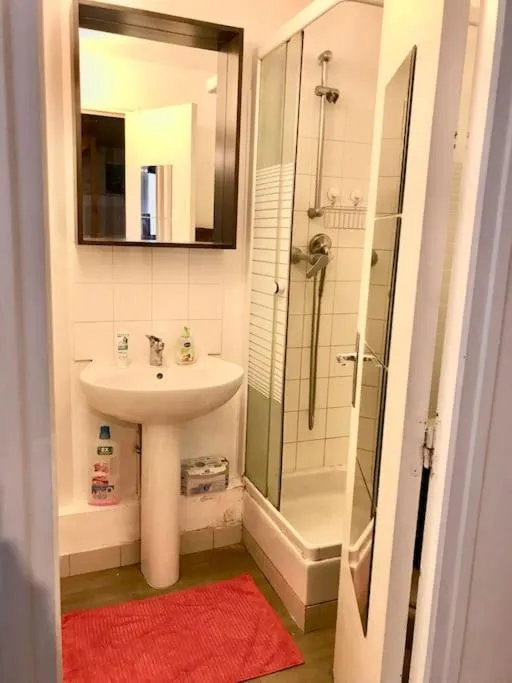 Shower in LOVELY DUPLEX in the center of FONTAINEBLEAU