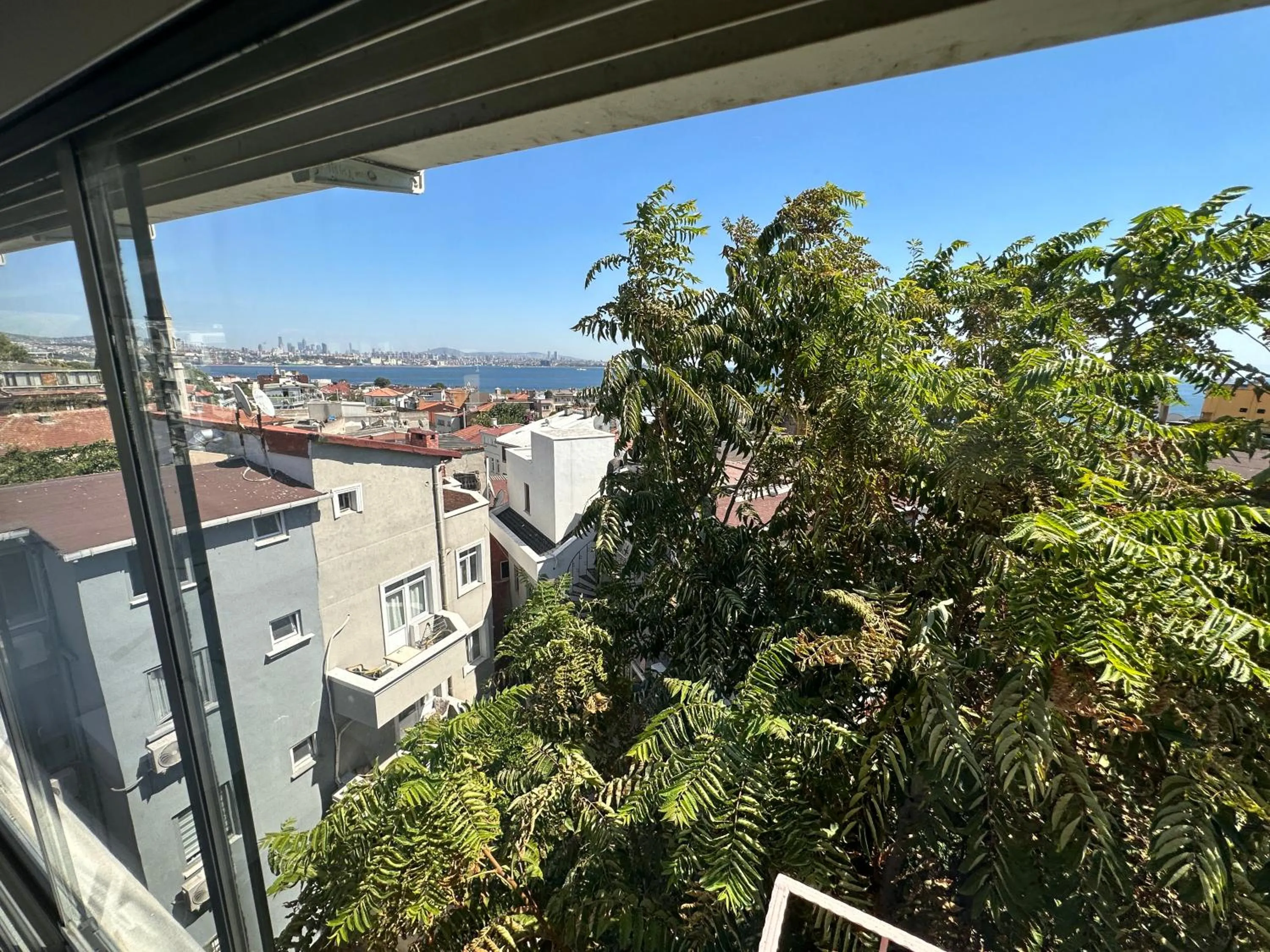 Day in Hotel Antique