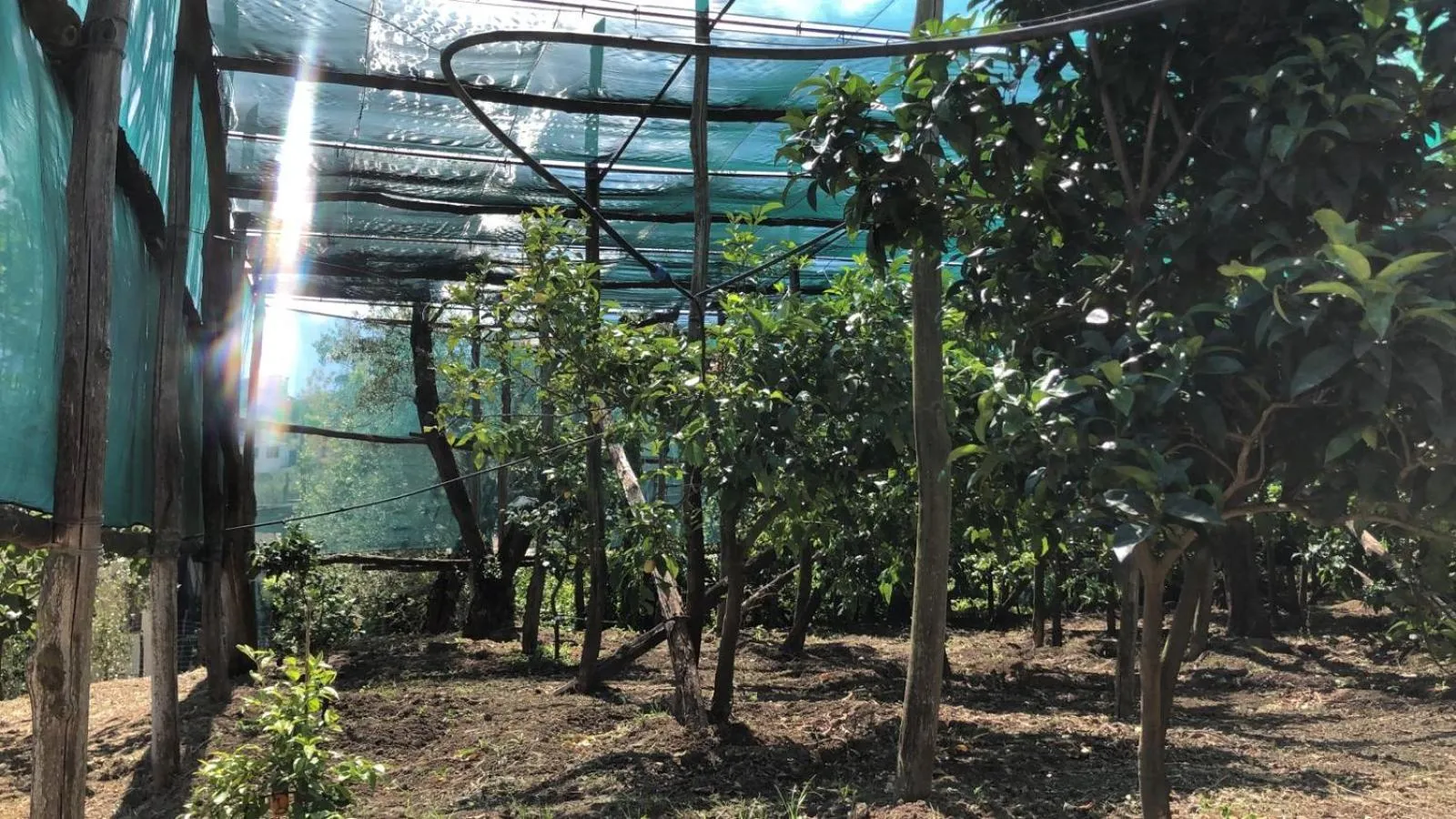 Garden view in Oasi Madre della Pace