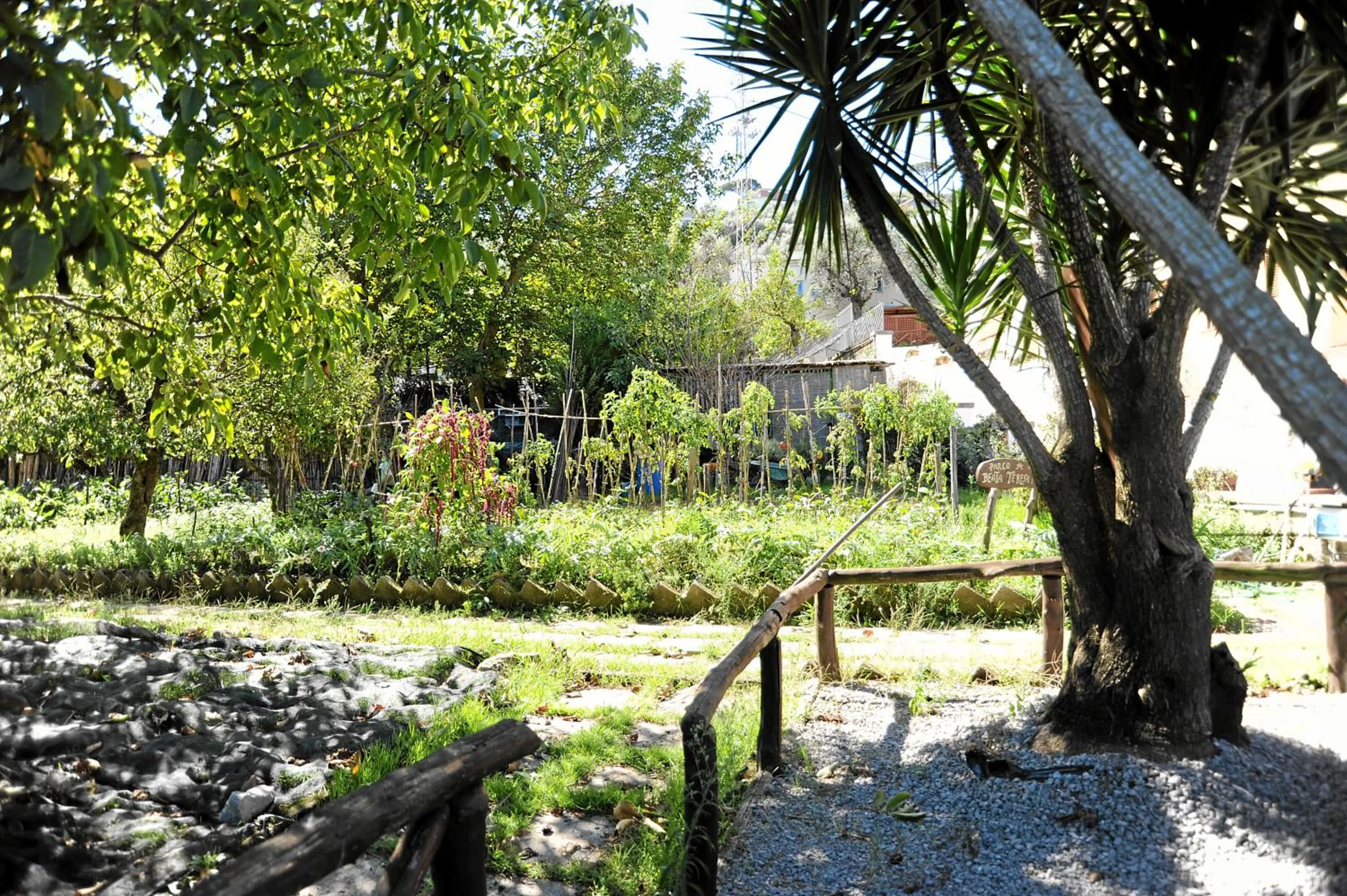 Garden in Oasi Madre della Pace