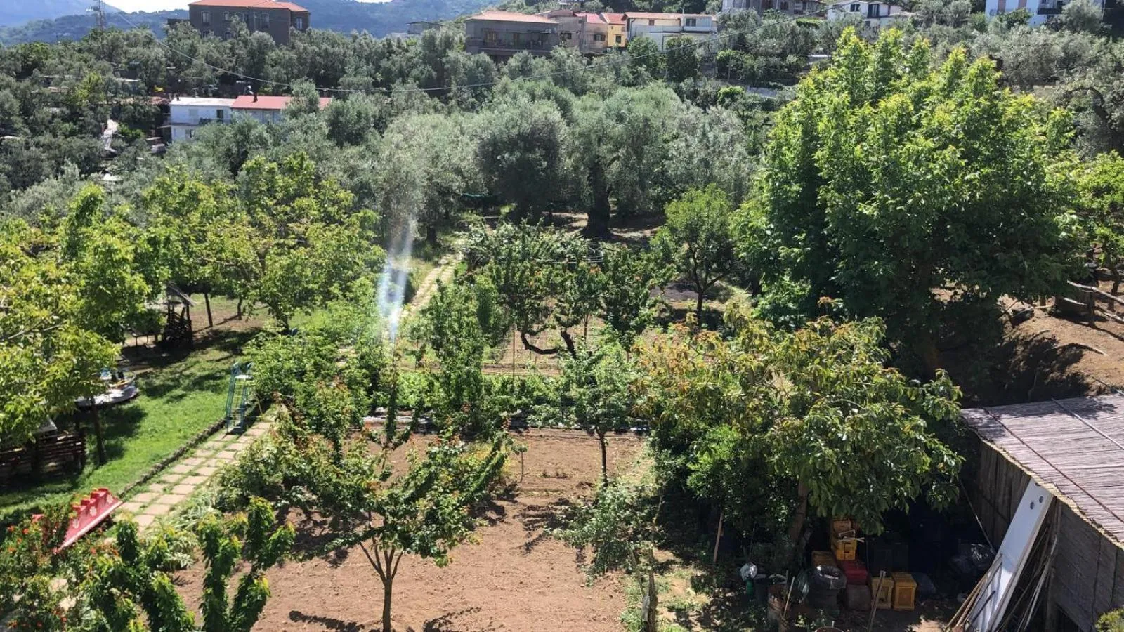 Garden in Oasi Madre della Pace