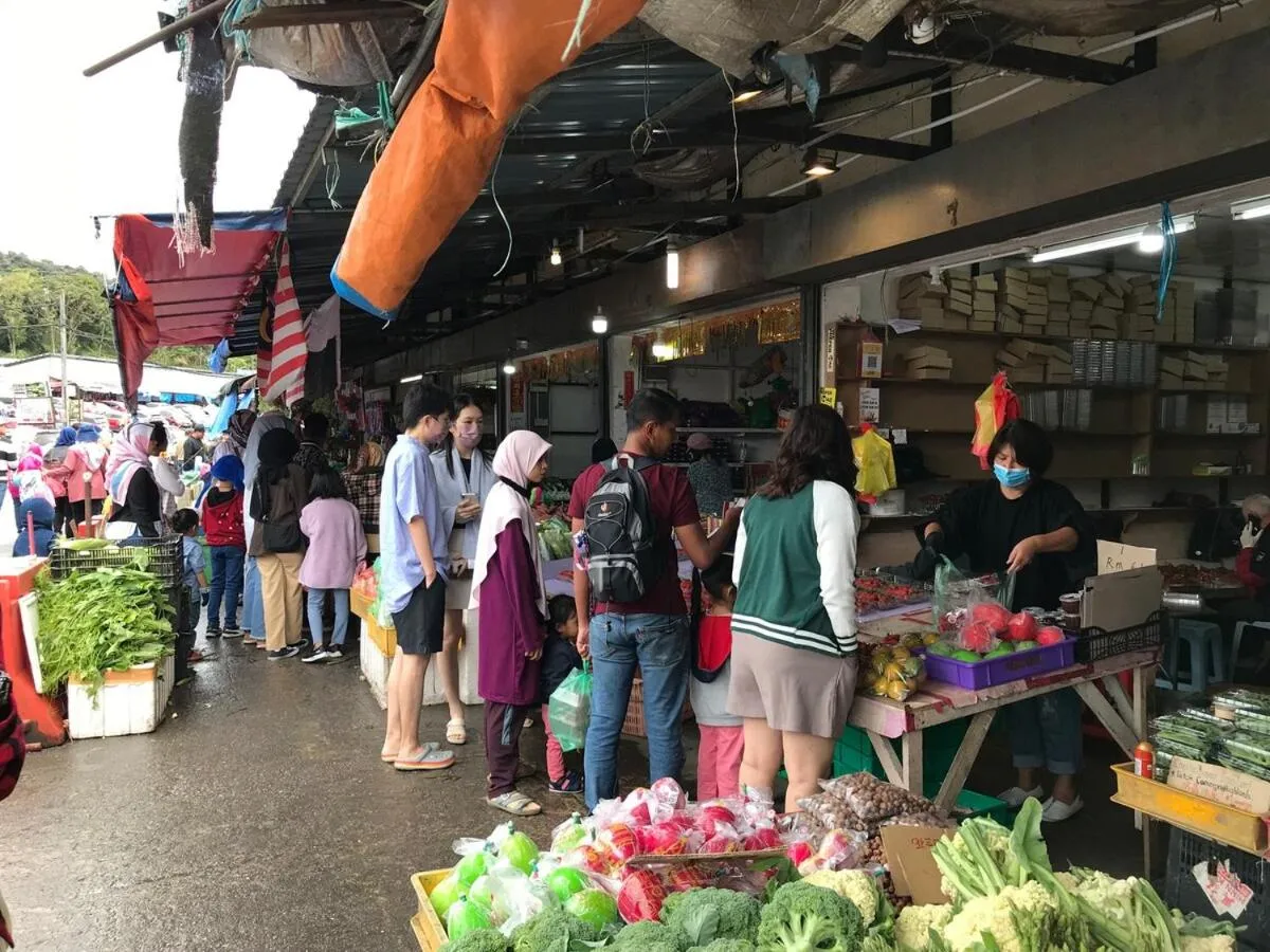Nova Mountain n Sunrise view Hilltop Hotel Apartment in Cameron Highlands