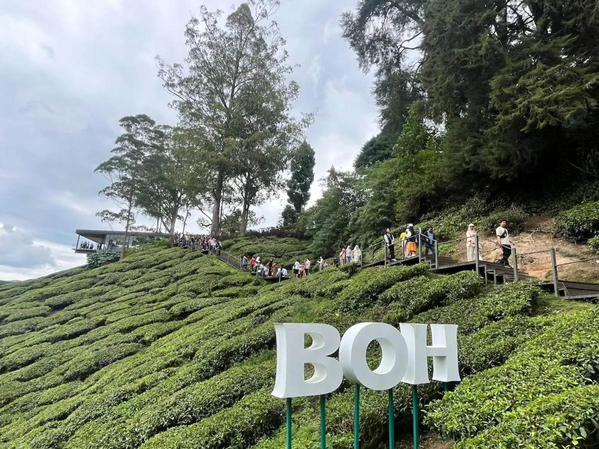 Nova Mountain n Sunrise view Hilltop Hotel Apartment in Cameron Highlands
