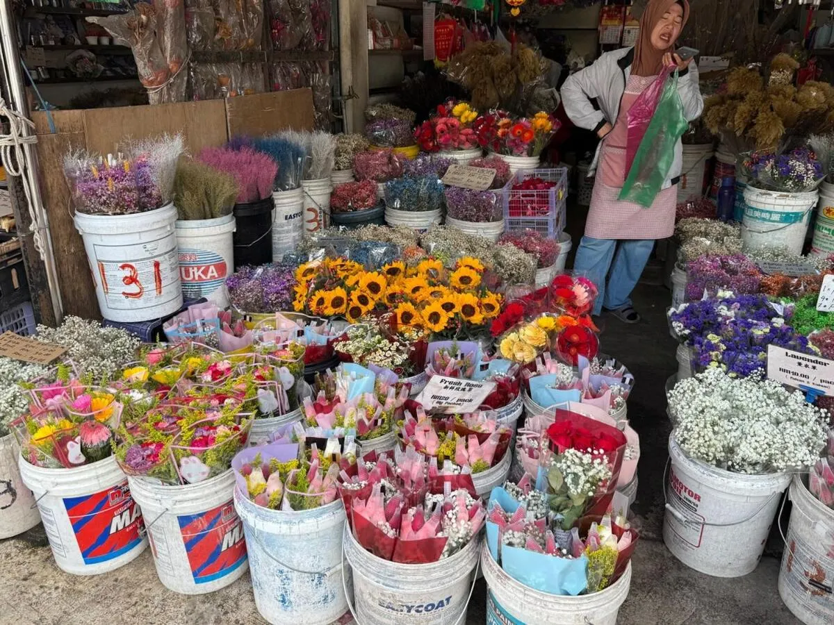 Nova Mountain n Sunrise view Hilltop Hotel Apartment in Cameron Highlands
