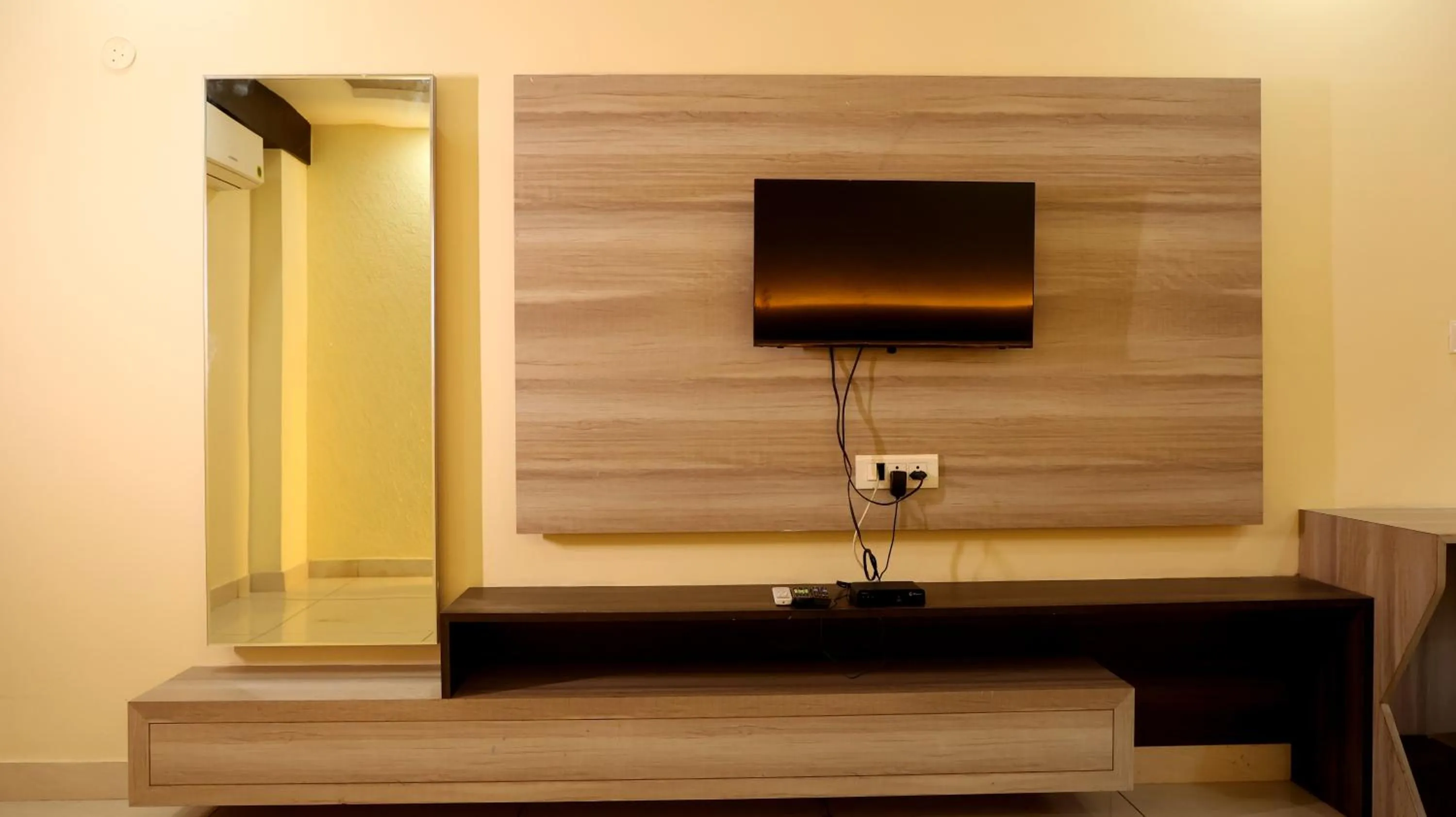 TV and multimedia in Hotel Blue Pine