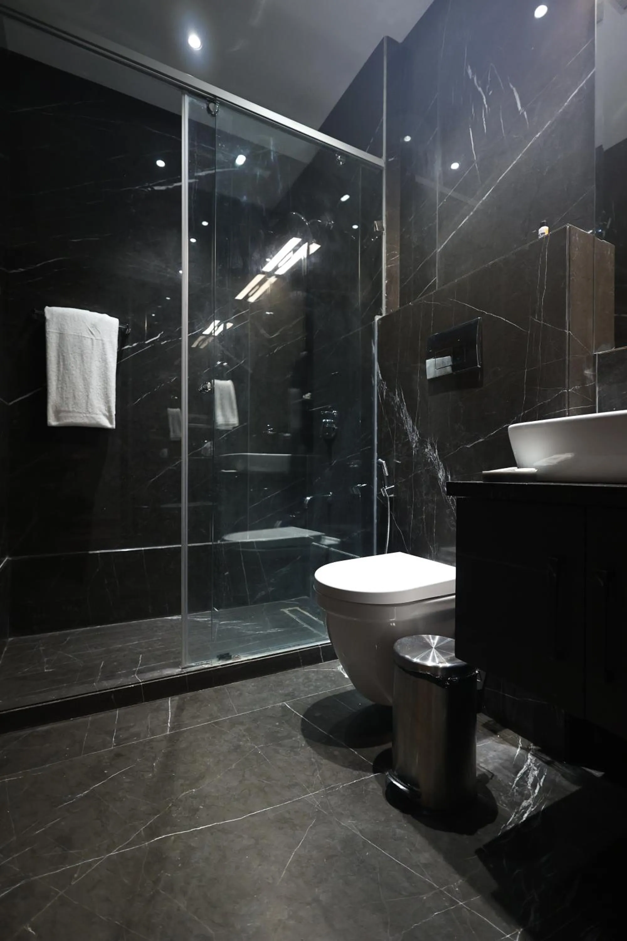 Shower in The Ramayana Hotel, Ayodhya