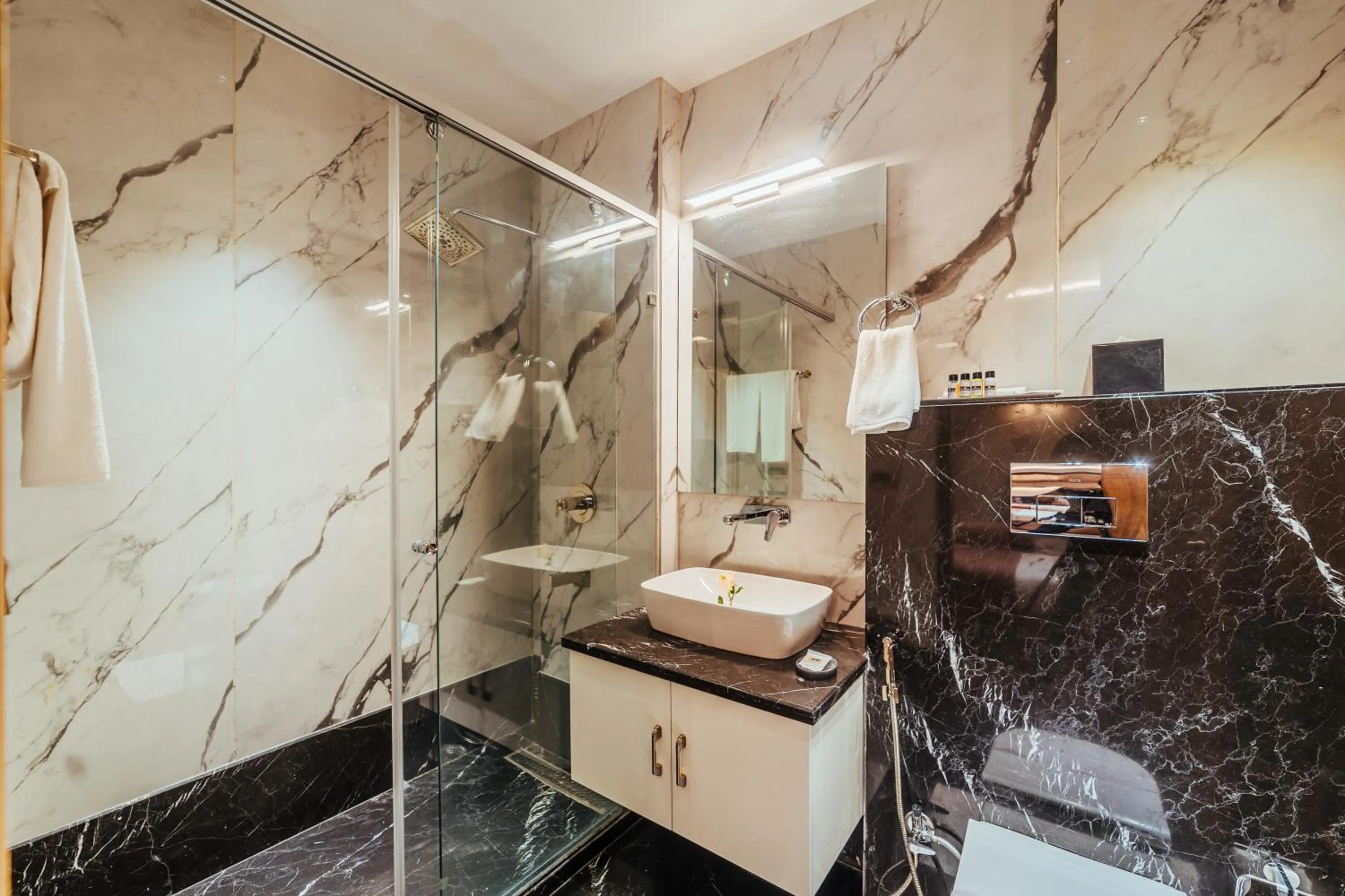 Shower in The Ramayana Hotel, Ayodhya