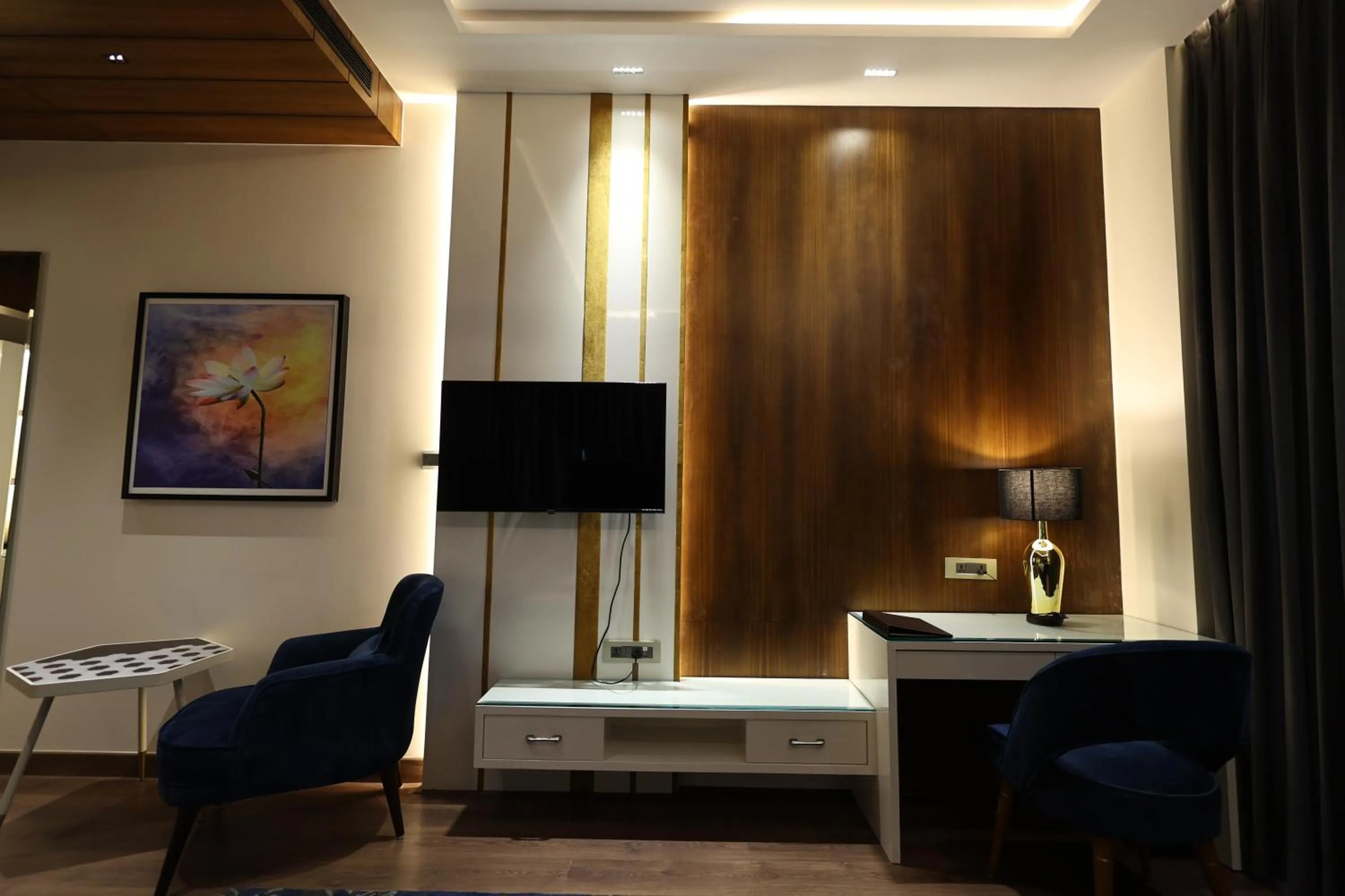 TV and multimedia in The Ramayana Hotel, Ayodhya