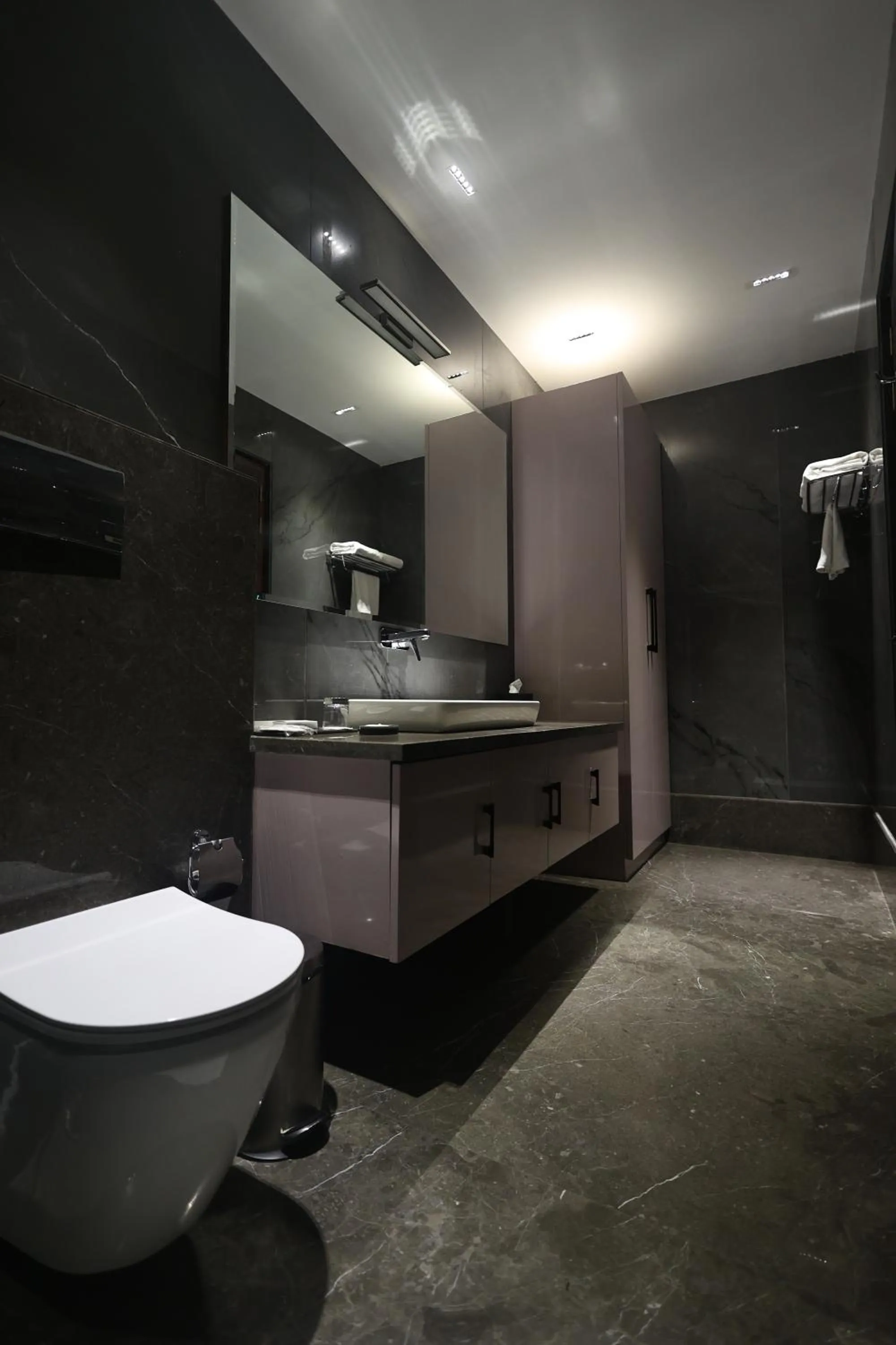 Toilet in The Ramayana Hotel, Ayodhya