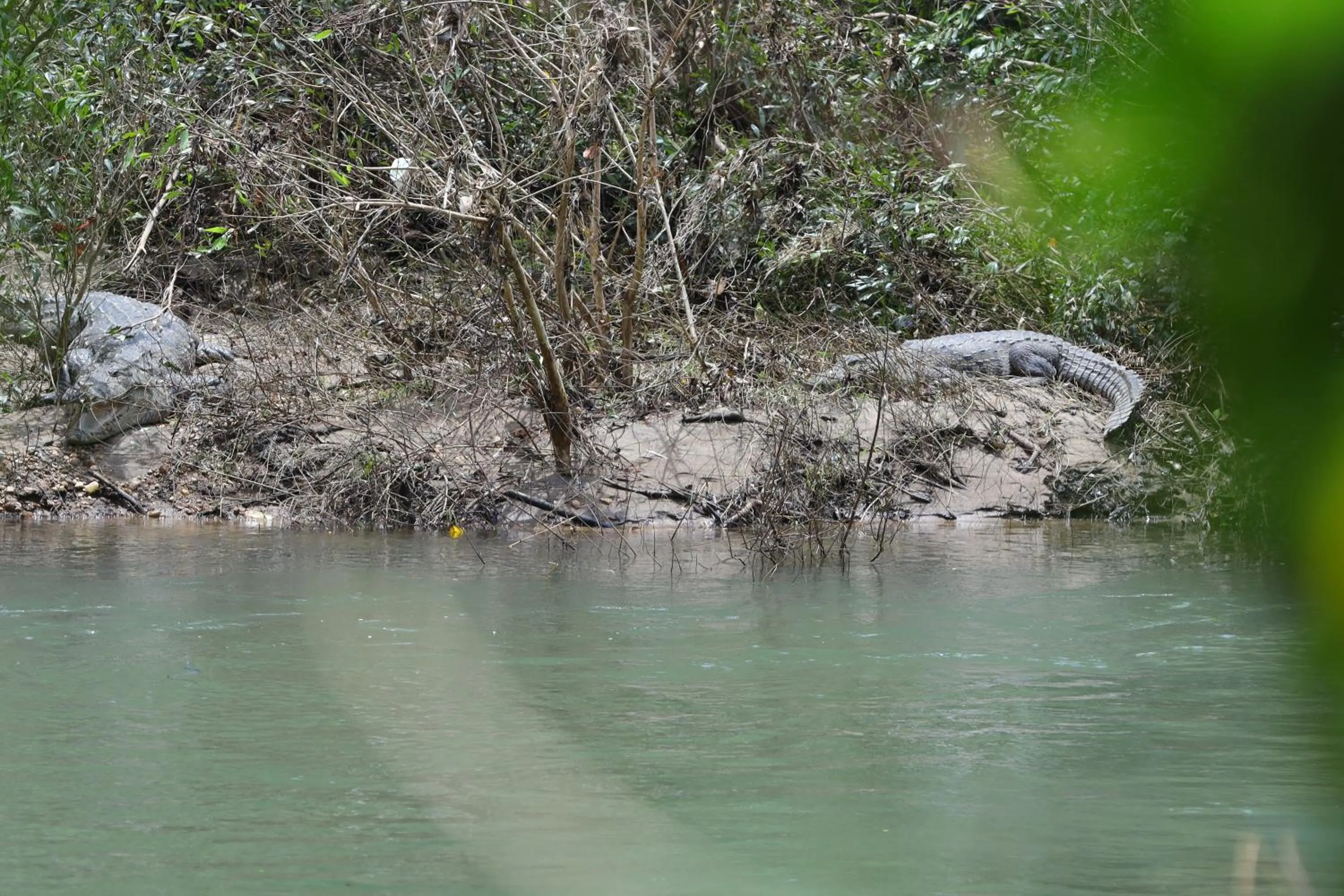 View (from property/room) in The Aurum Subrahmanya