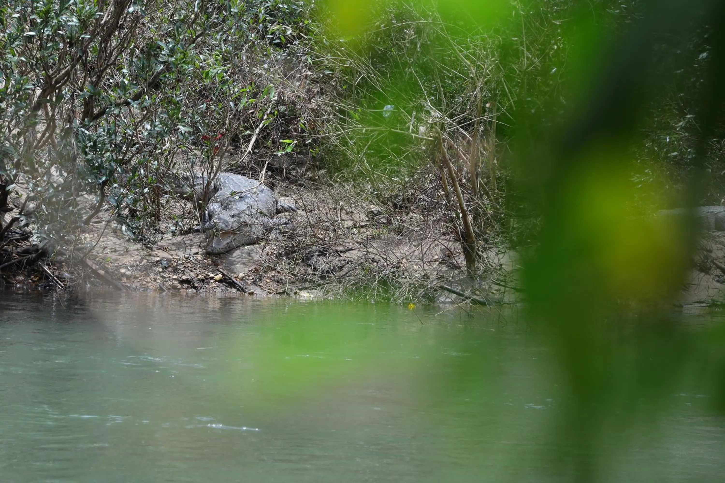 View (from property/room) in The Aurum Subrahmanya