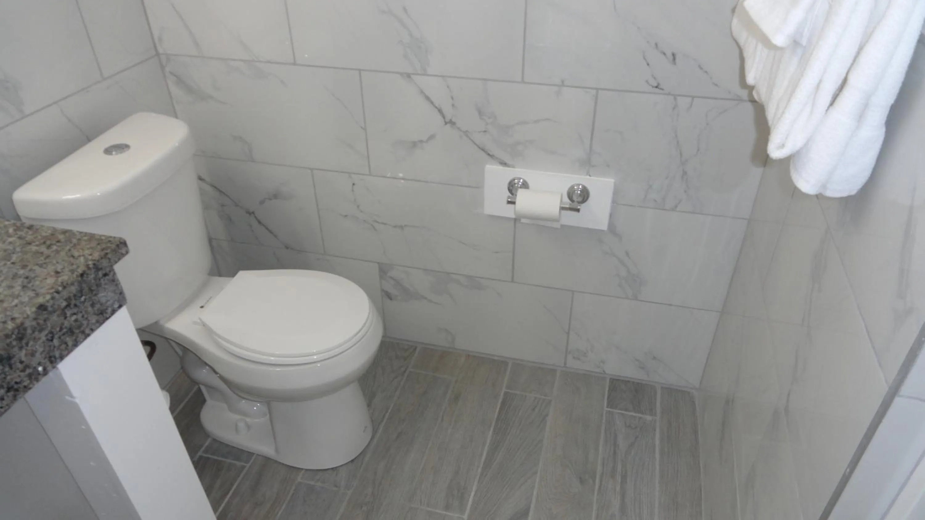 Toilet in ECONOMY INN