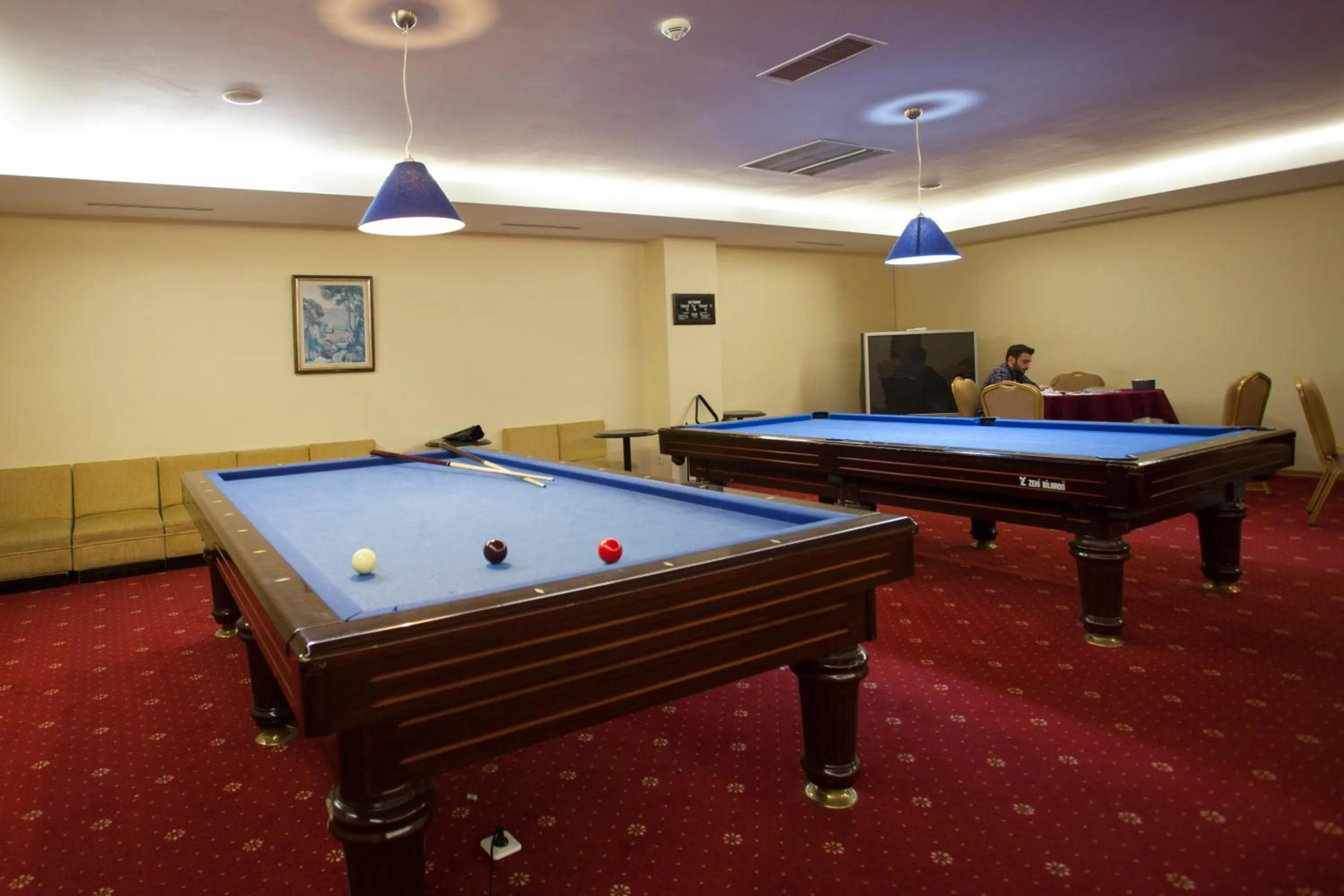 Other in Palan Ski & Convention Resort Hotel