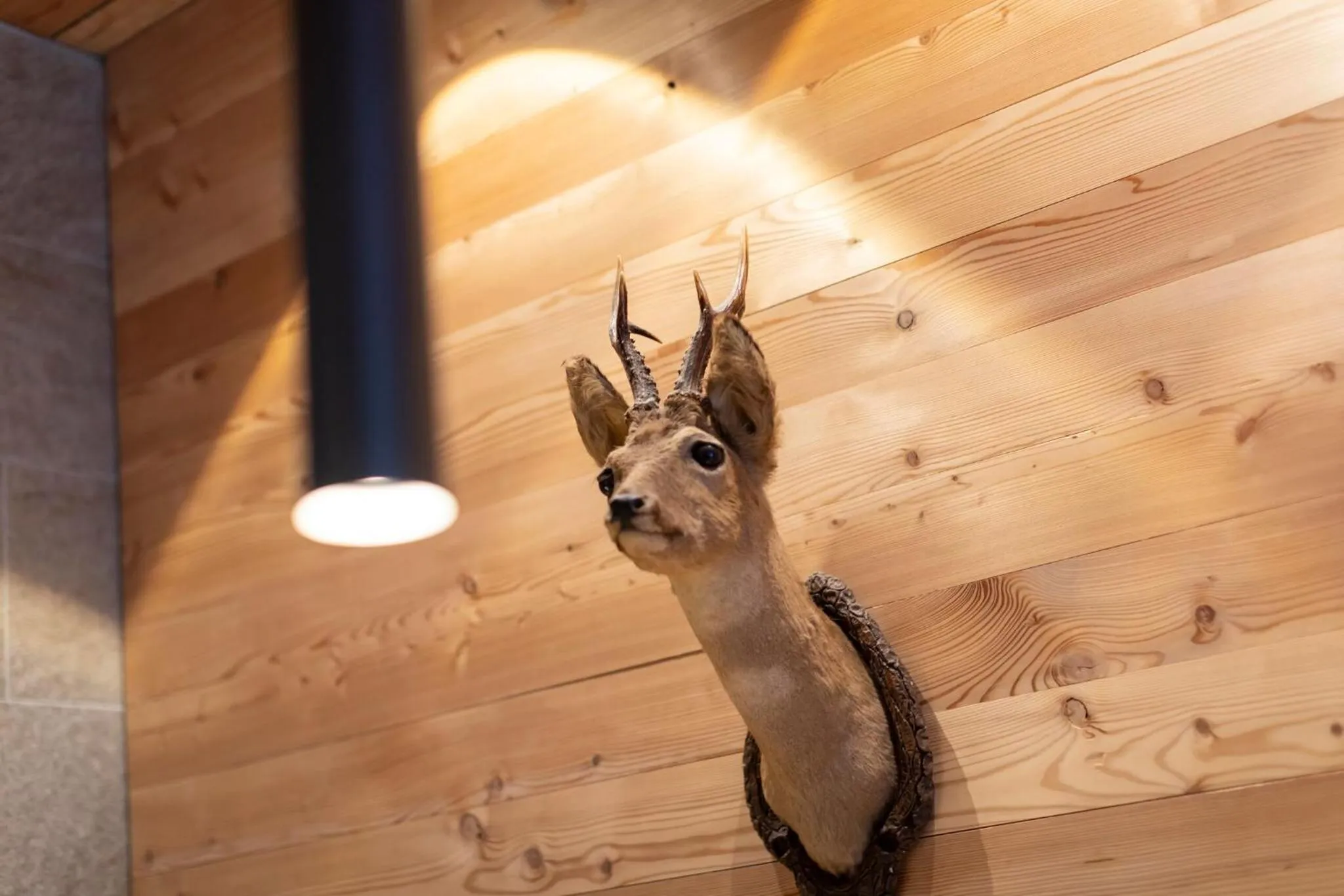 Decorative detail in Longhin Maloja B&B