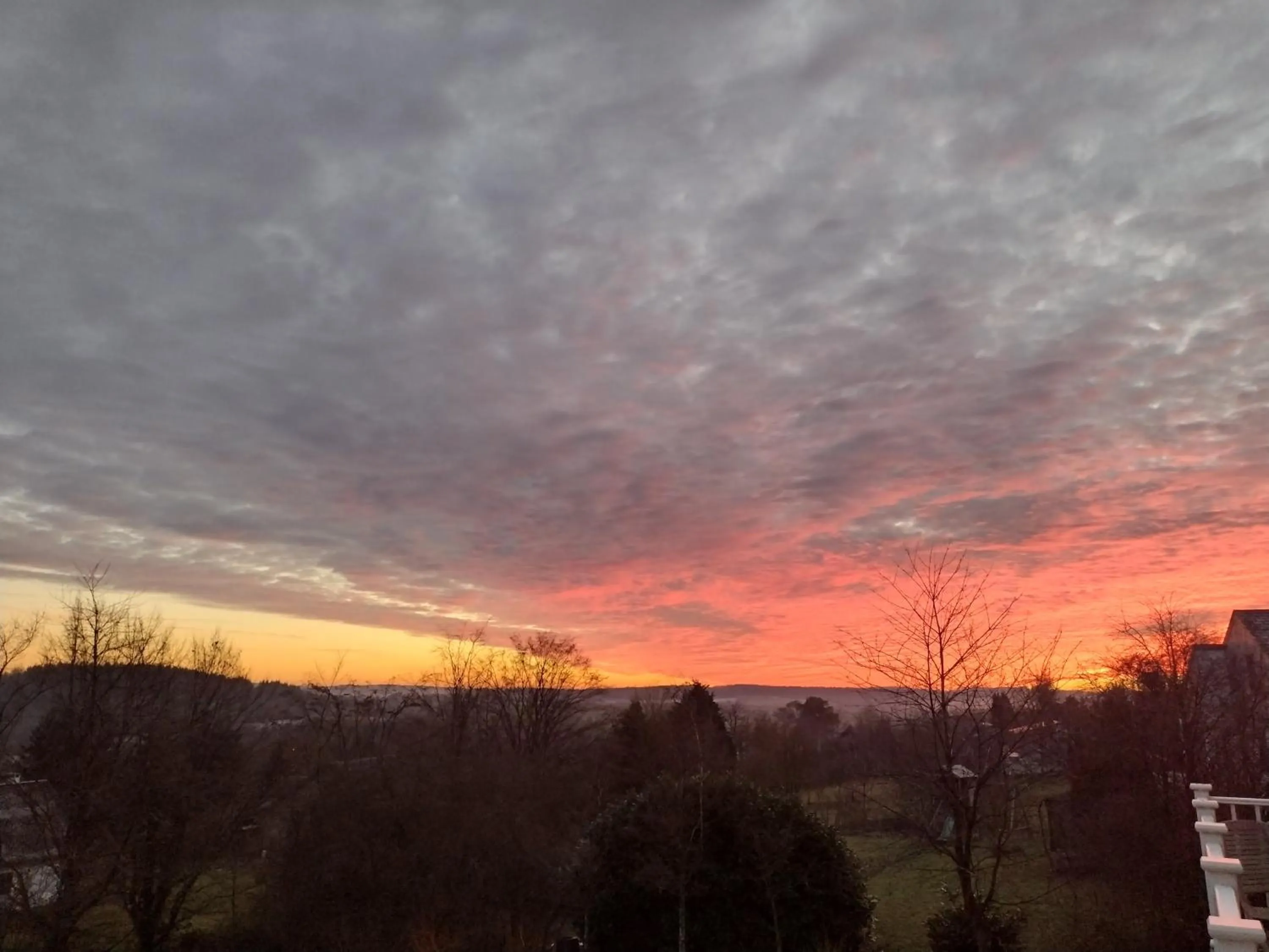 View (from property/room) in B&B Maison Durbois