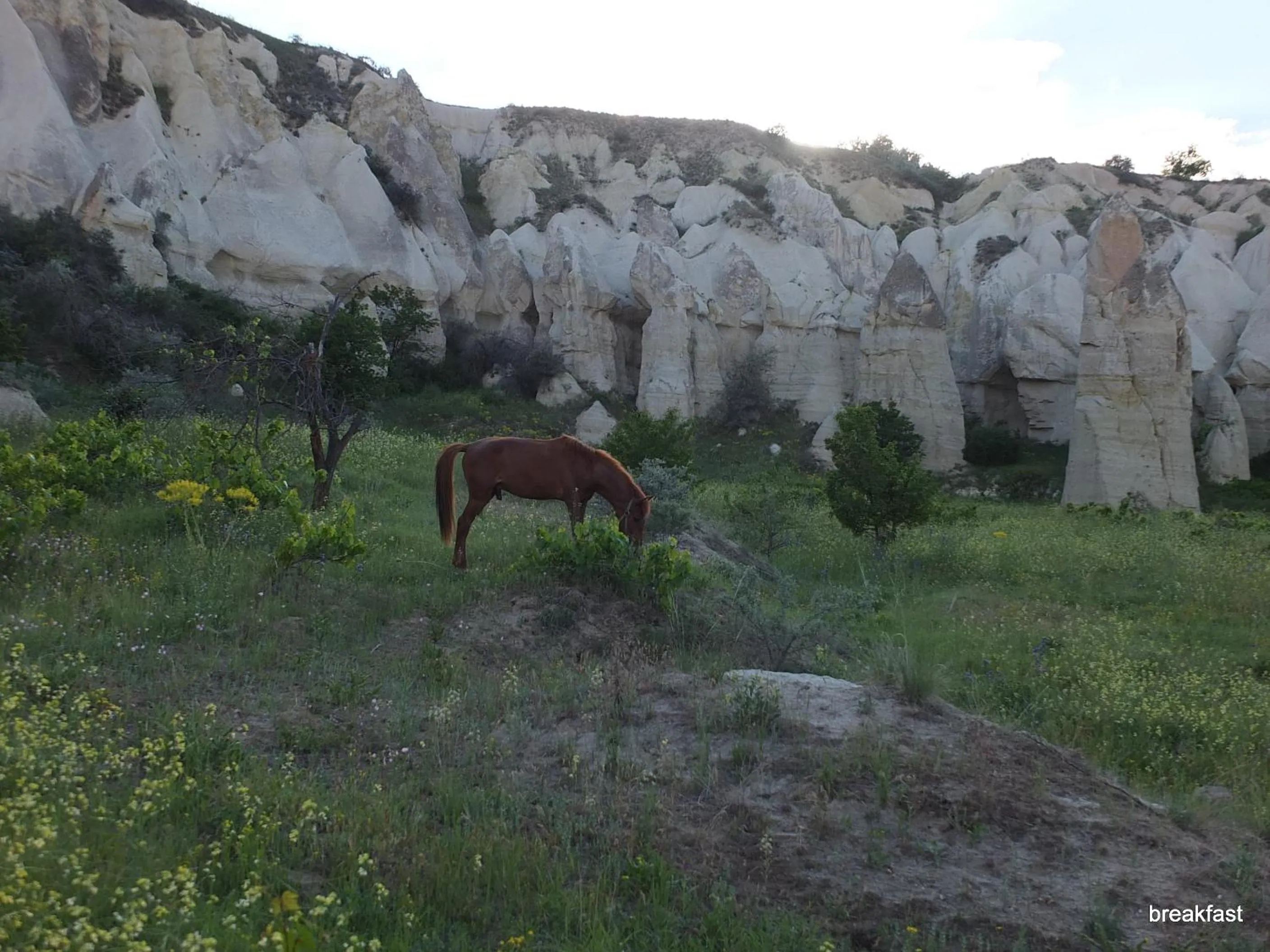 Nearby landmark in Anatolia cave hotel Pension
