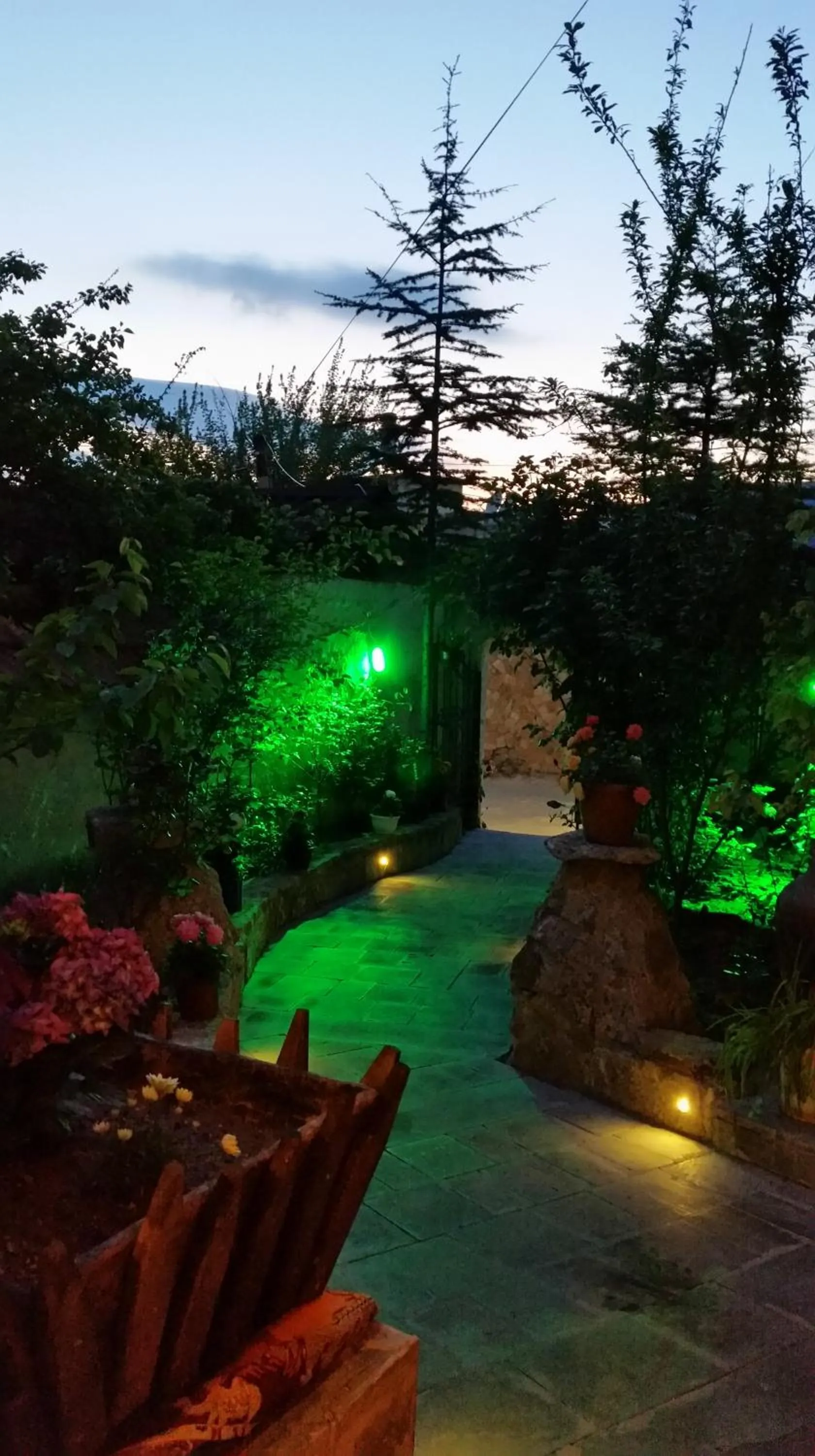 Garden in Anatolia cave hotel Pension