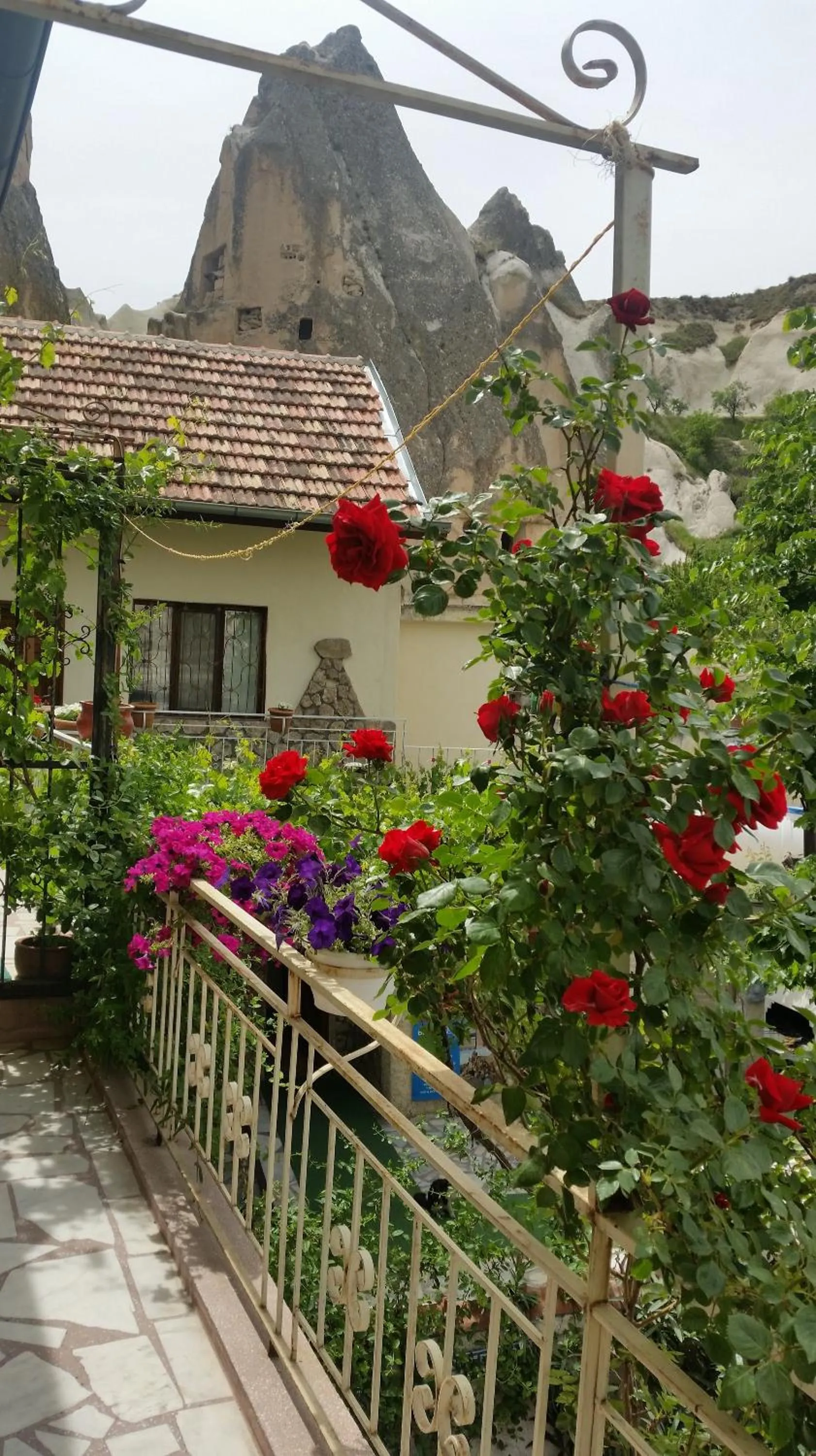 Garden view in Anatolia cave hotel Pension