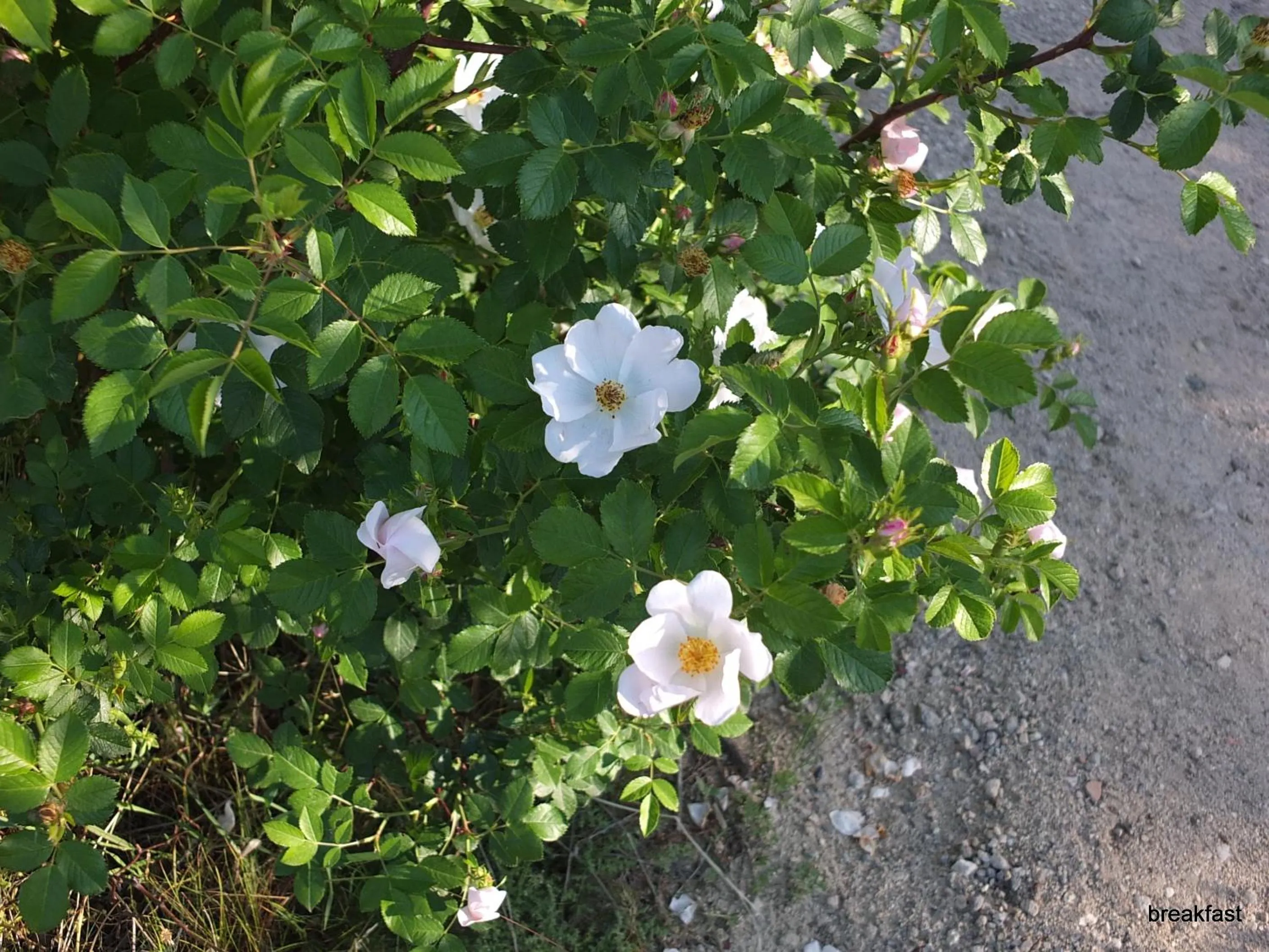 Natural landscape in Anatolia cave hotel Pension
