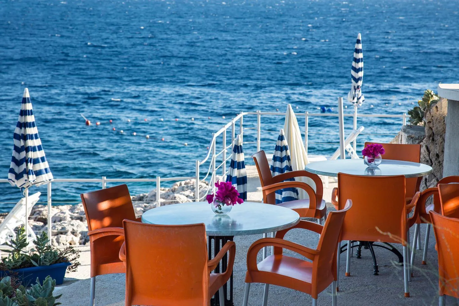 Restaurant/places to eat in Diva Residence Allsuite Hotel