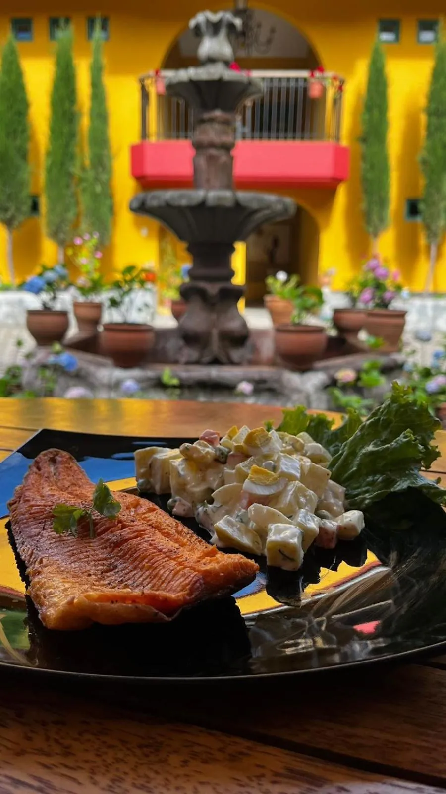 Restaurant/places to eat in Hotel Tartar