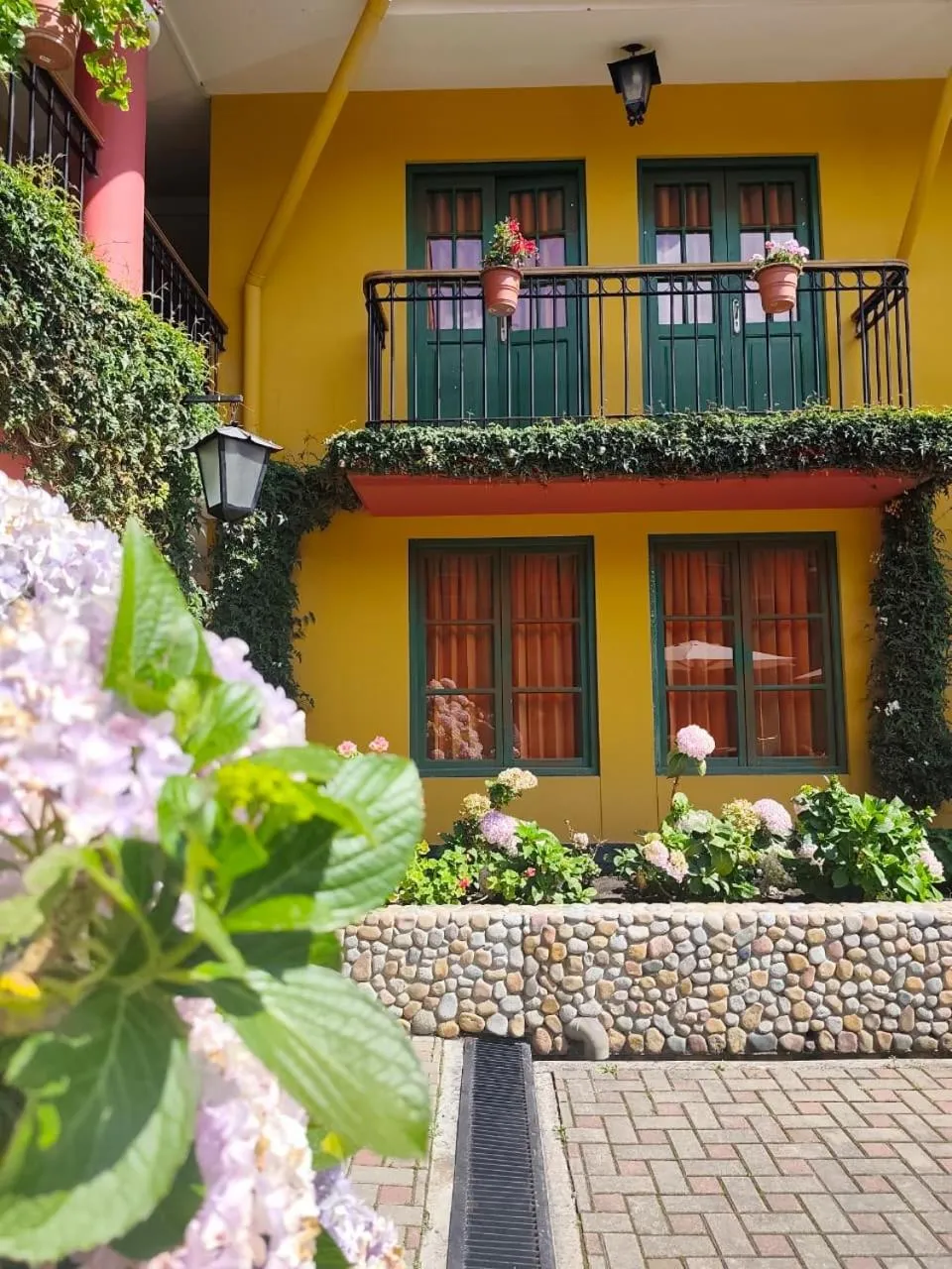 Garden view in Hotel Tartar