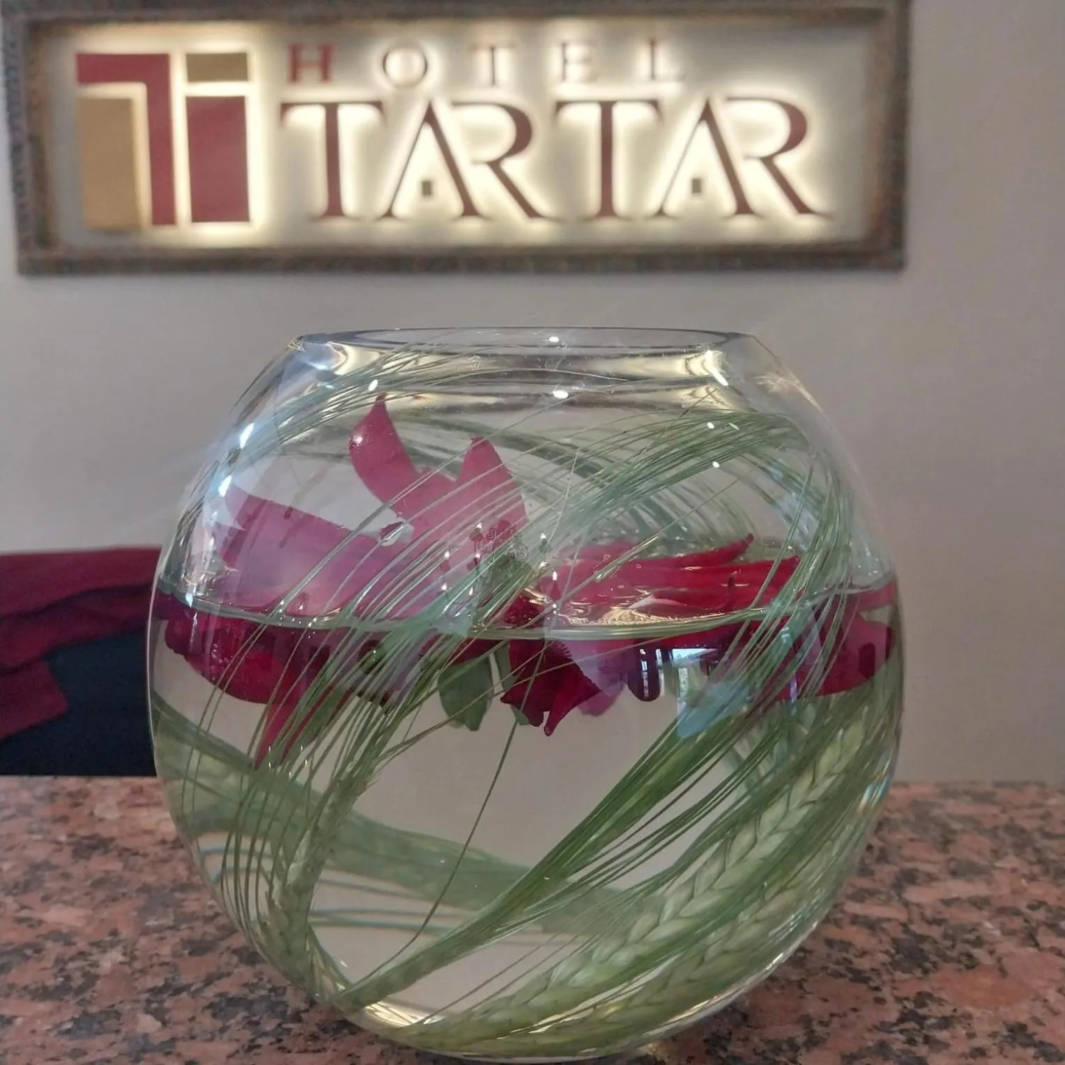 Lobby or reception in Hotel Tartar