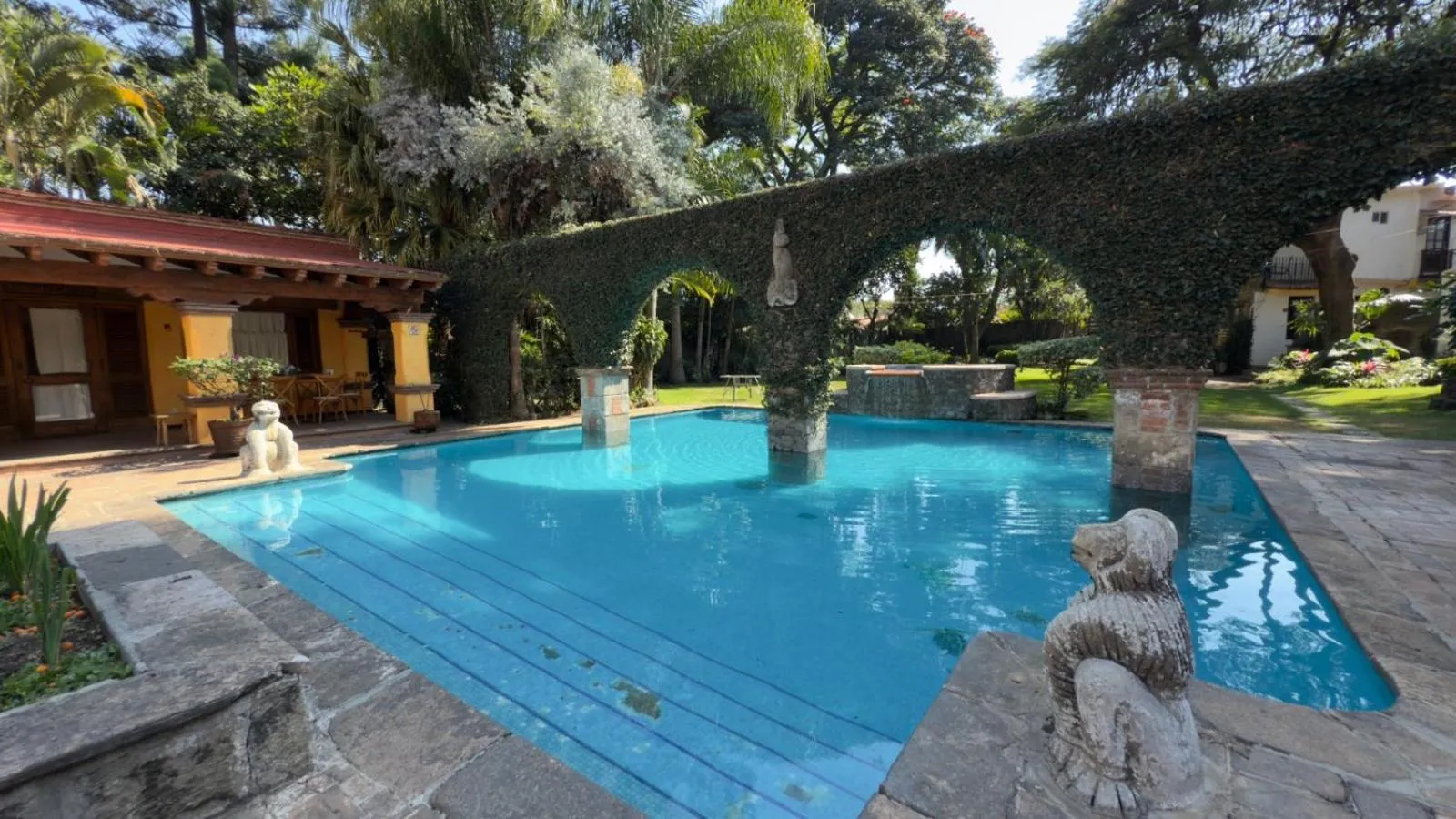 Pool view in La Joyita Cuernavaca