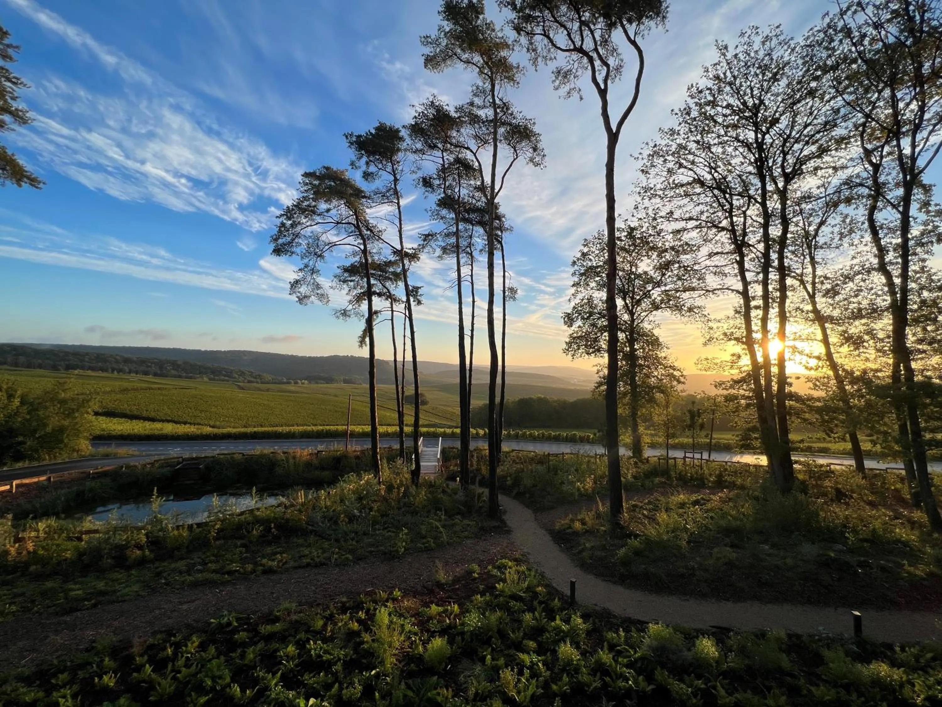 View (from property/room) in LOISIUM Wine & Spa Hotel Champagne