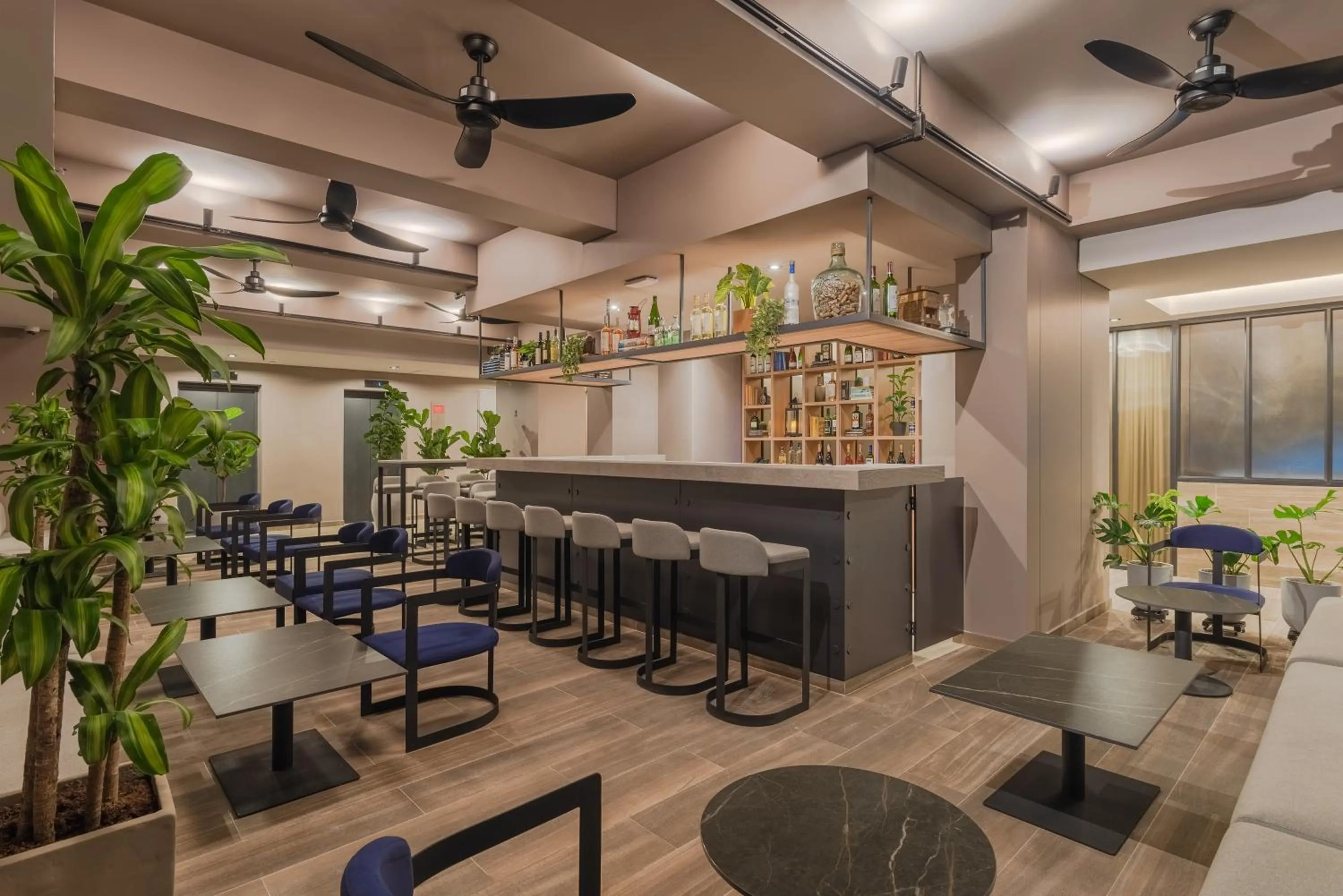 Lounge or bar in Hotel Sites Barranquilla