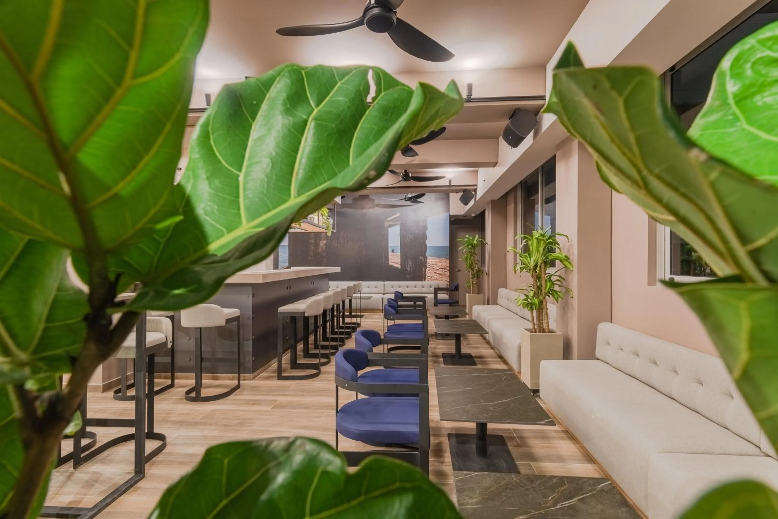 Lounge or bar in Hotel Sites Barranquilla