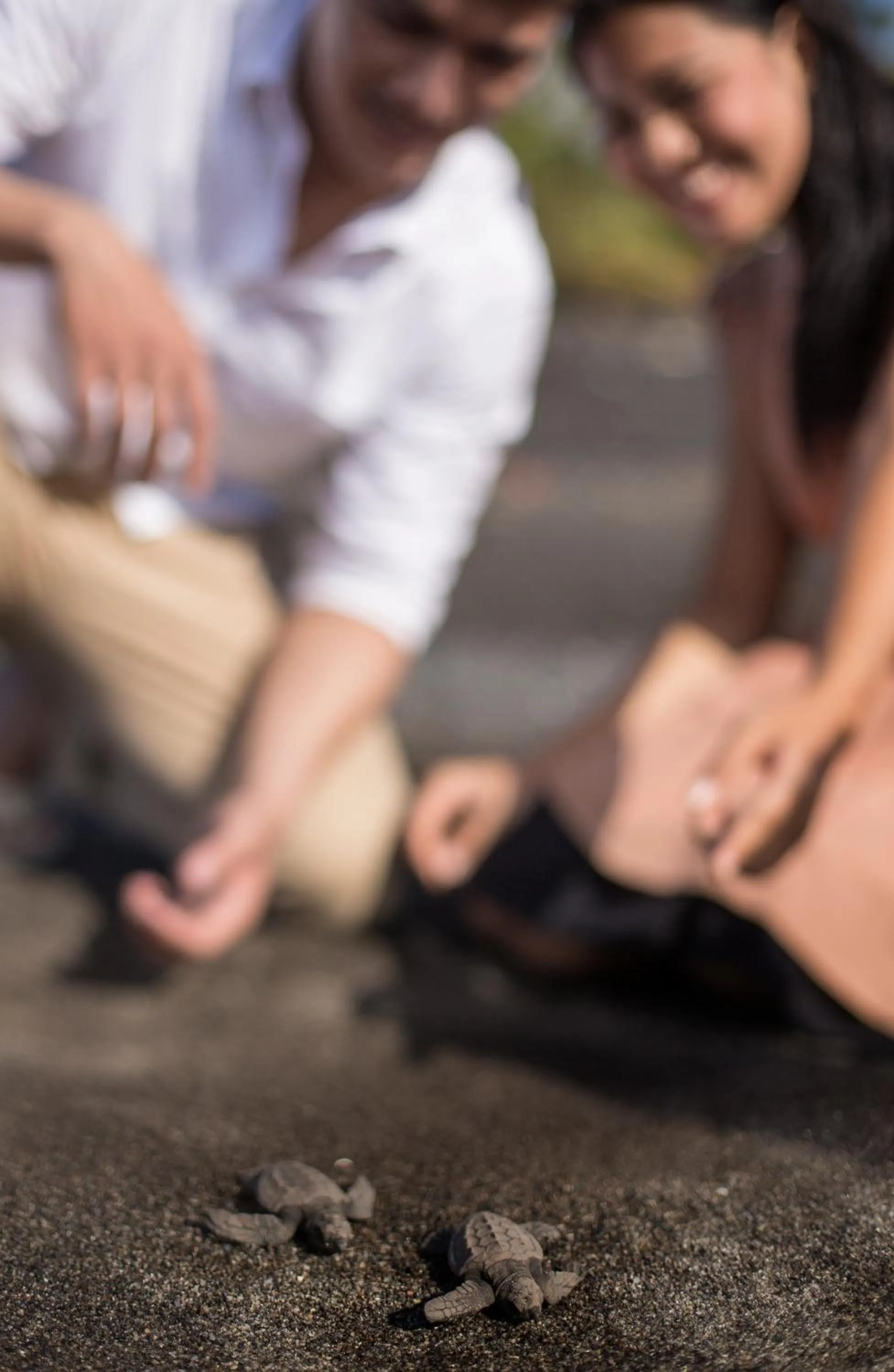 Activities in Jeeva Saba Bali