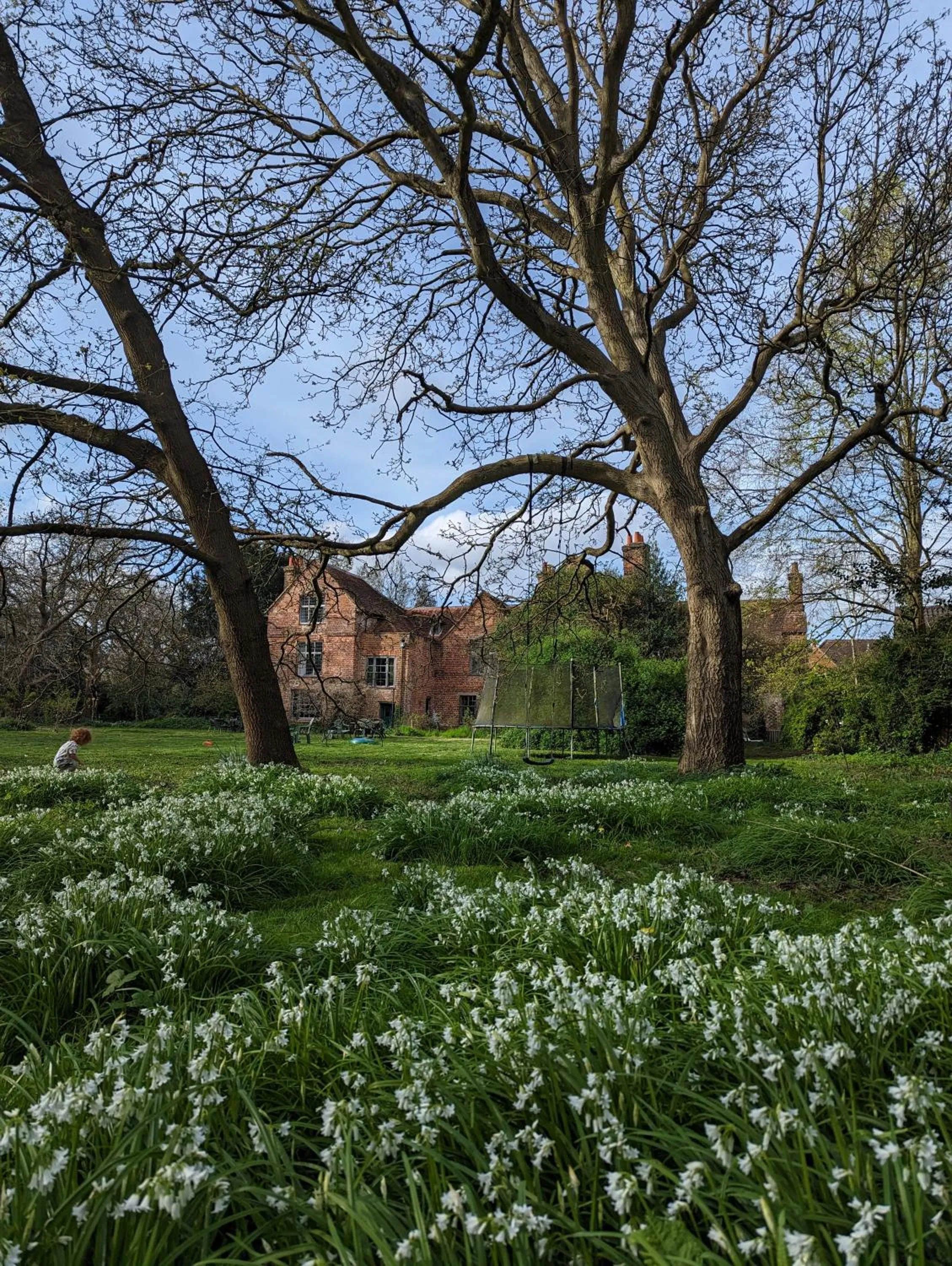 Garden in Old Manor House
