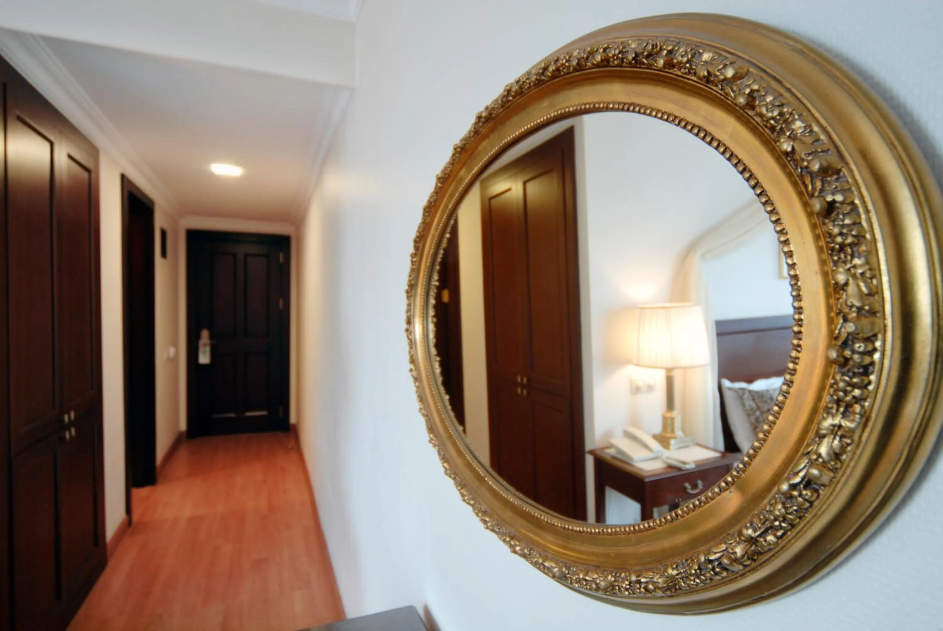 Photo of the whole room in Hotel Daphne