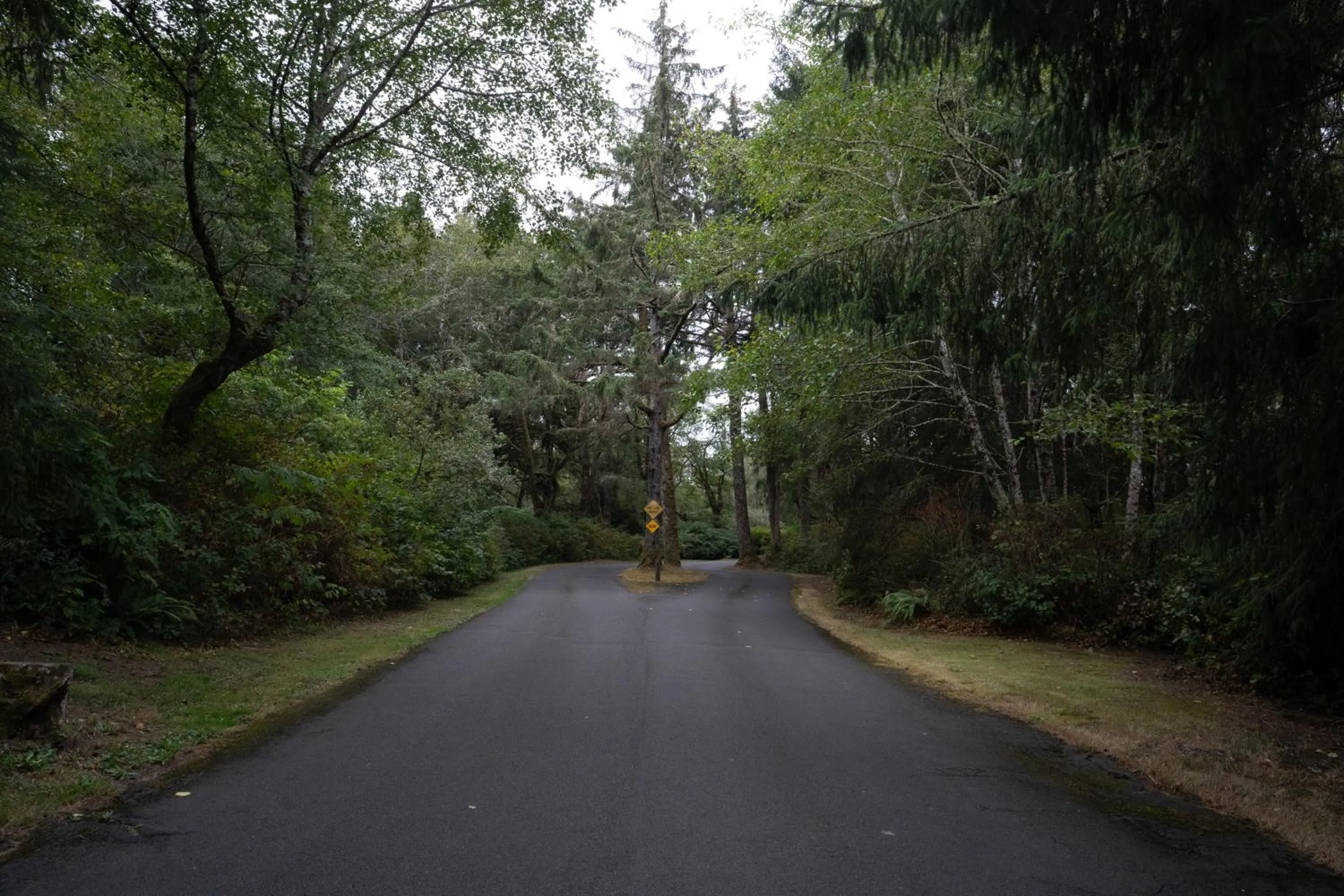 Facade/entrance in Surfcrest Resort