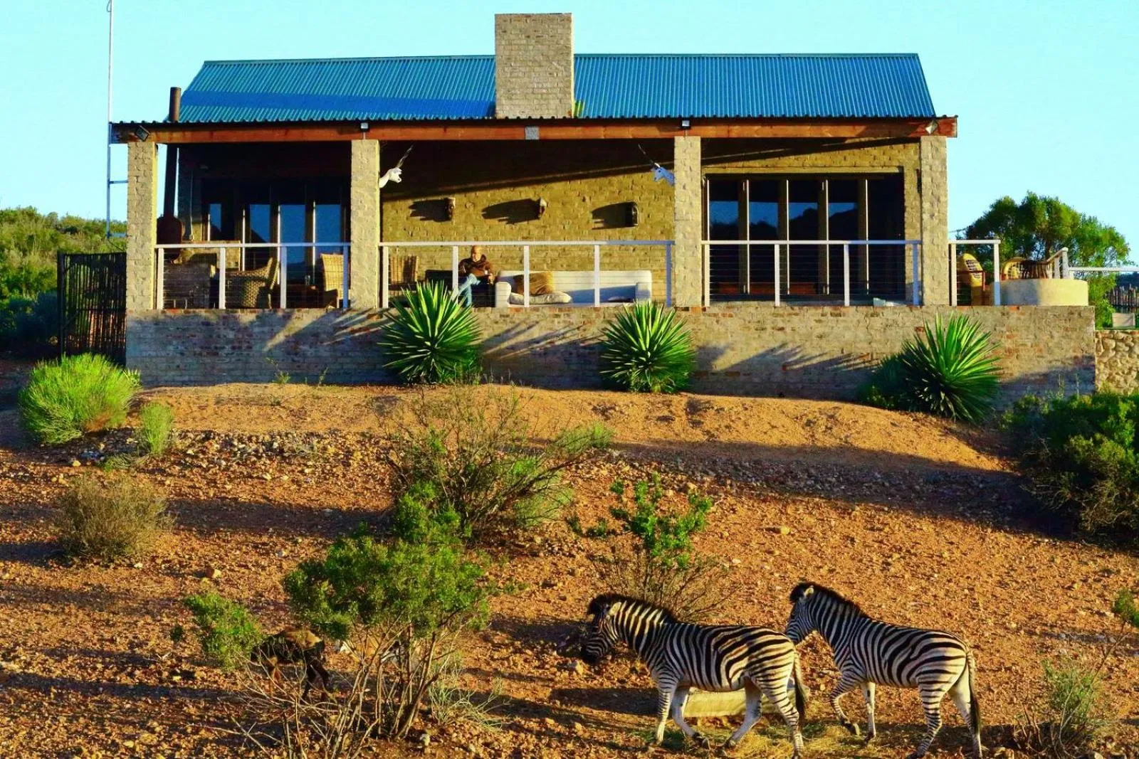 Restaurant/places to eat in Zwartberg View Mountain Lodge