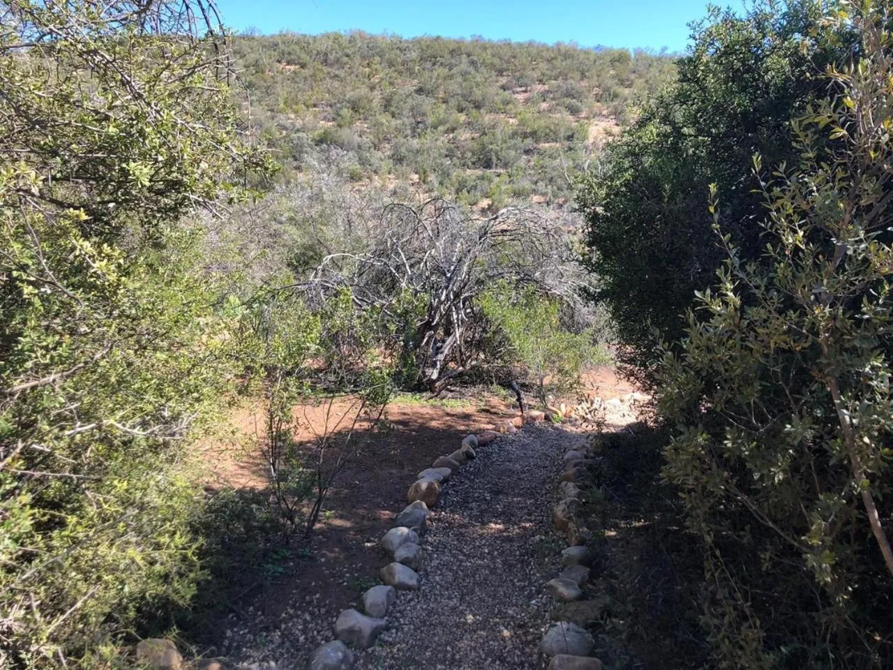 Natural landscape in Zwartberg View Mountain Lodge