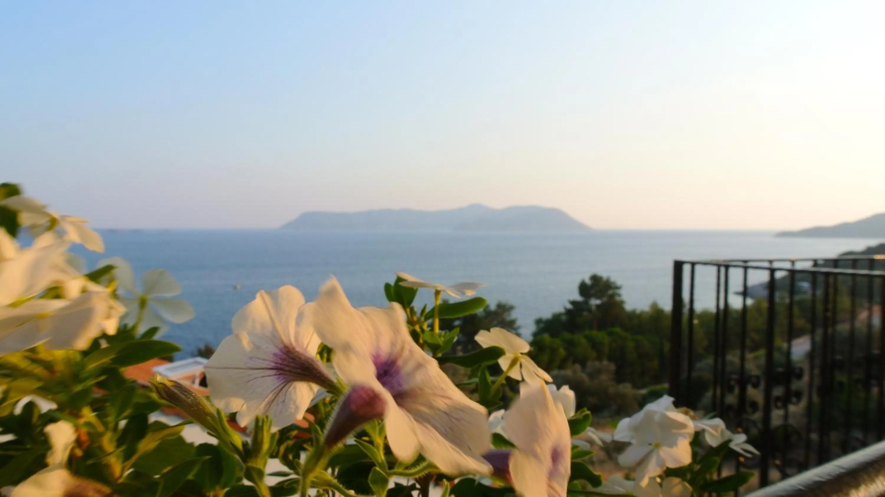 View (from property/room) in Hideaway