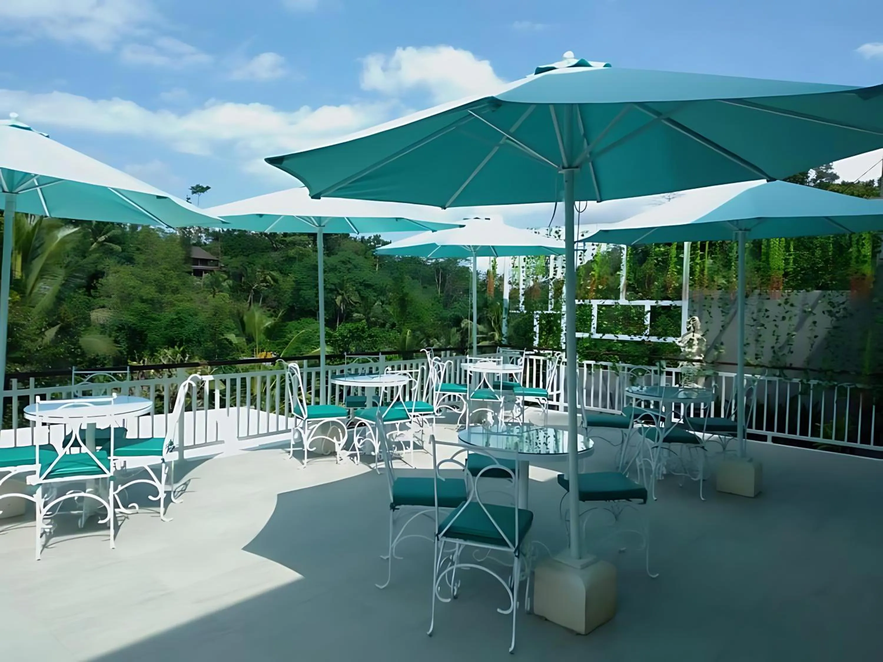 Patio in Royal Maharani Payogan