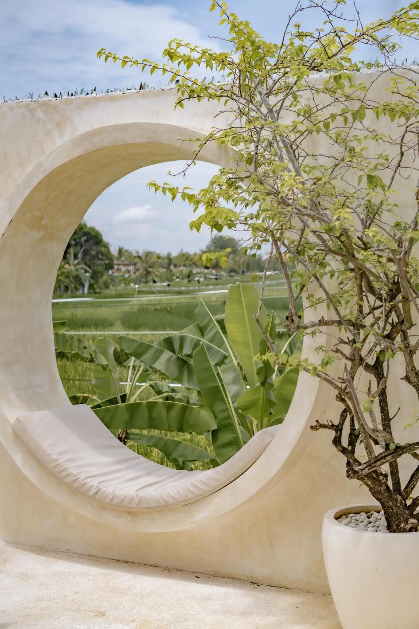 Garden view in Rumah Simba