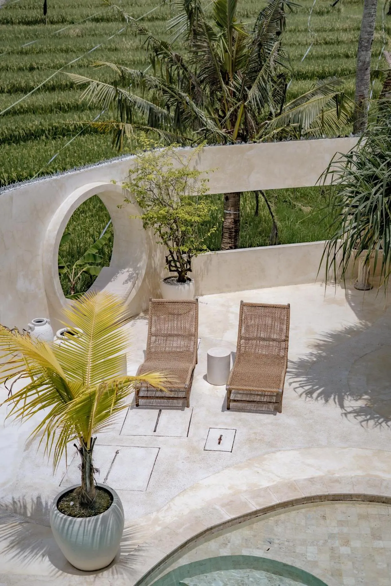 sunbed in Rumah Simba