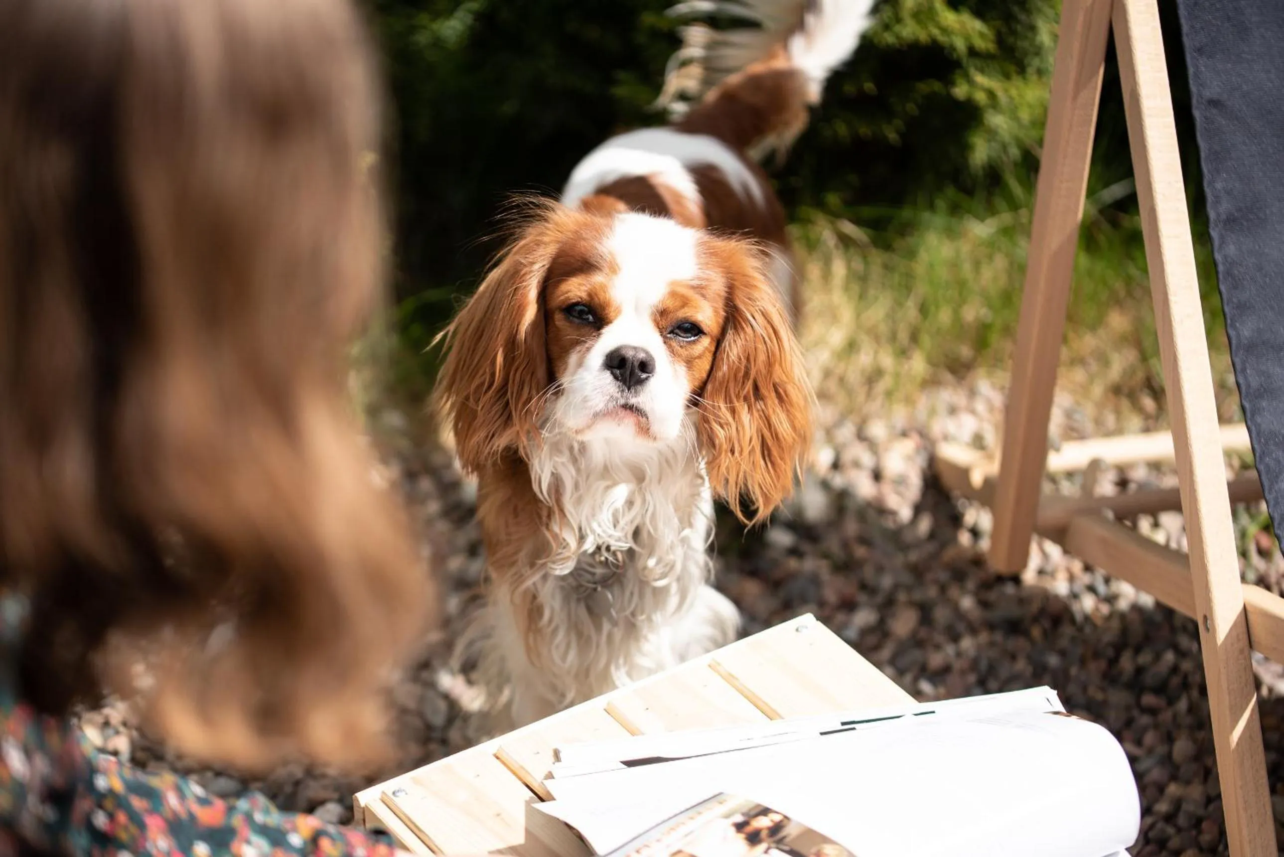 Balcony/Terrace in Rezydencja Wind Rose - luxury ApartHotel Gdansk