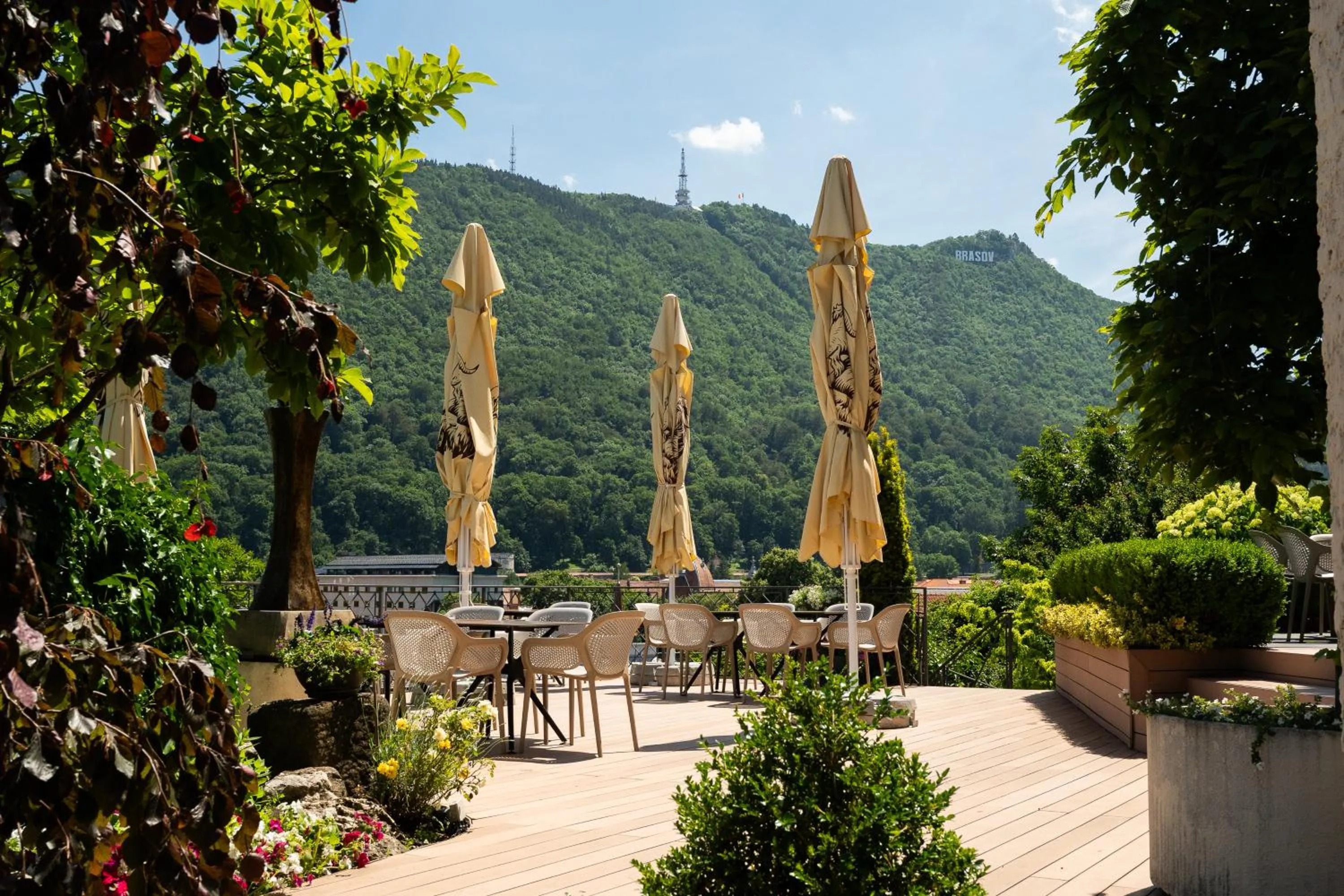 Natural landscape in Pensiunea Casa Cranta