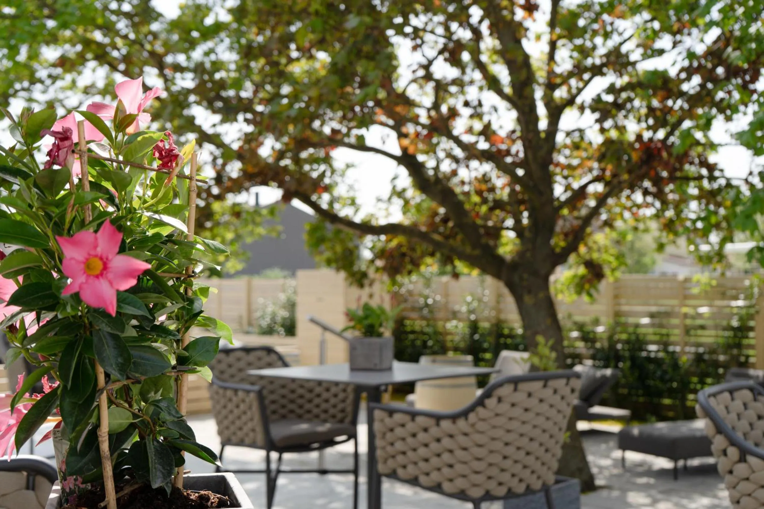 Garden in Kracher Hotel Doppelzimmer - inklusive Pool