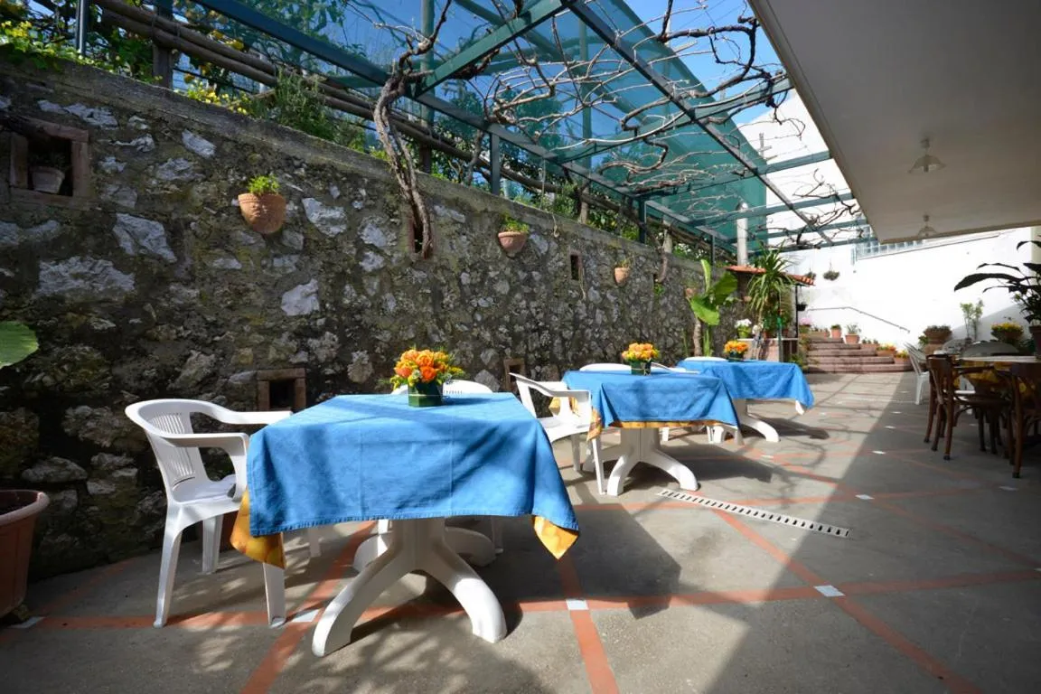 Restaurant/places to eat in La Musa