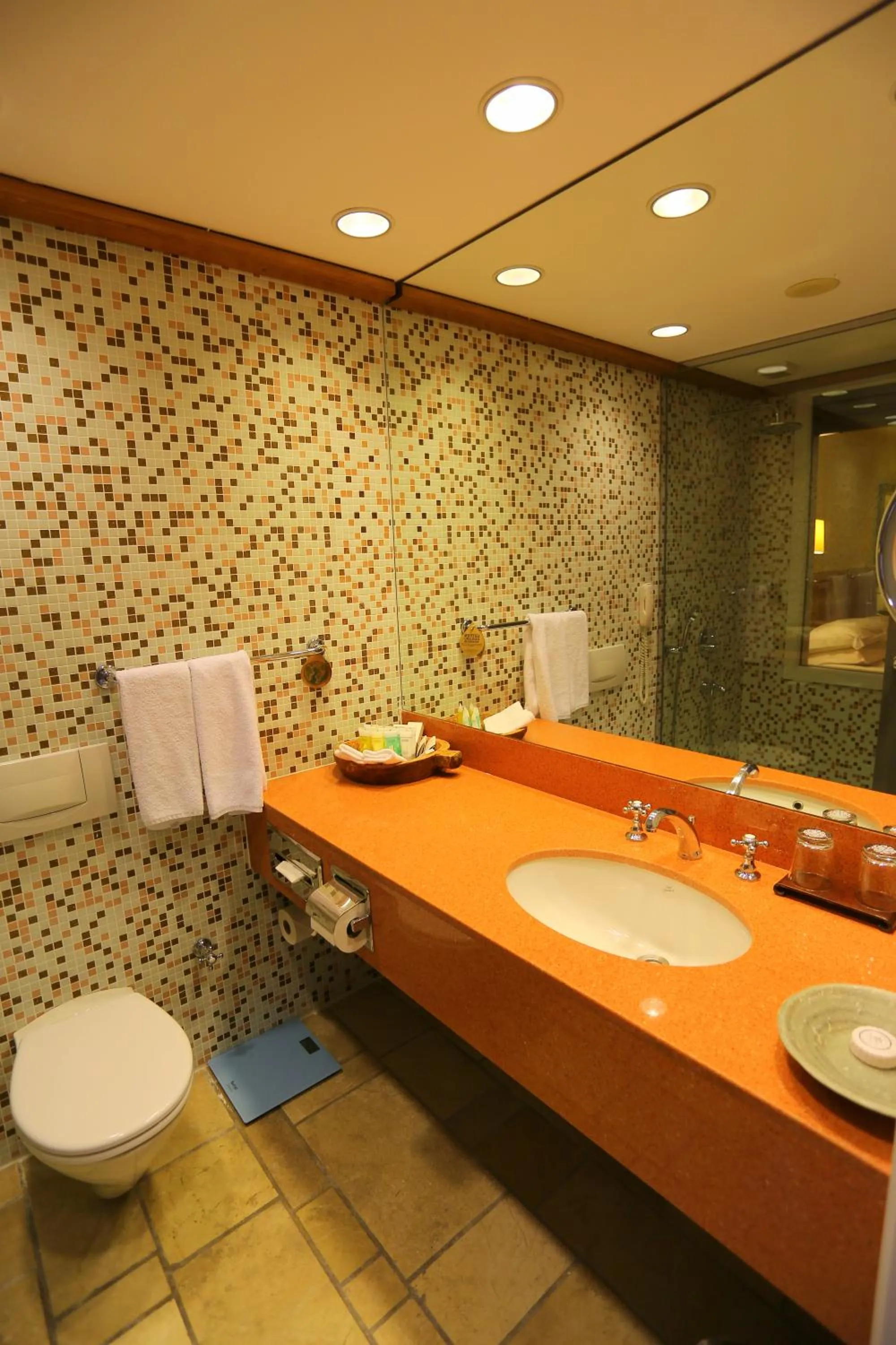 Toilet in The Marmara Bodrum - Adult Only